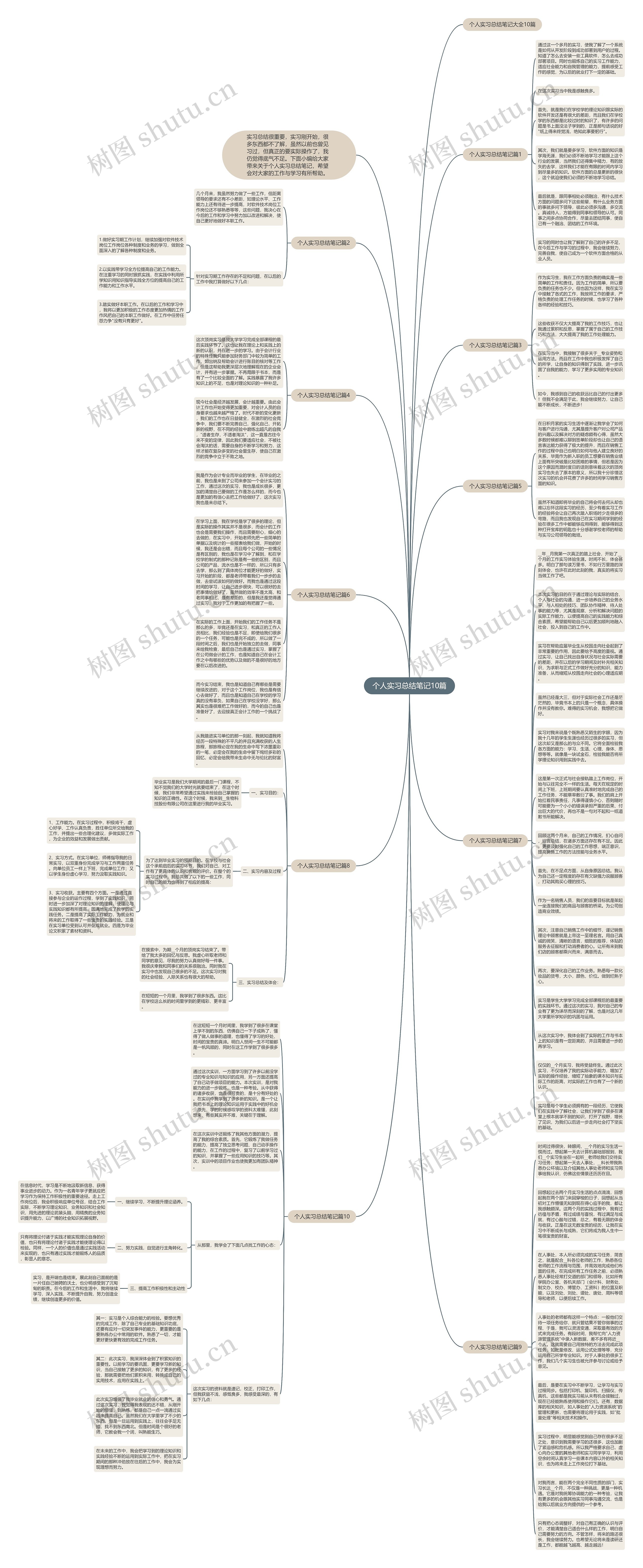 个人实习总结笔记10篇思维导图