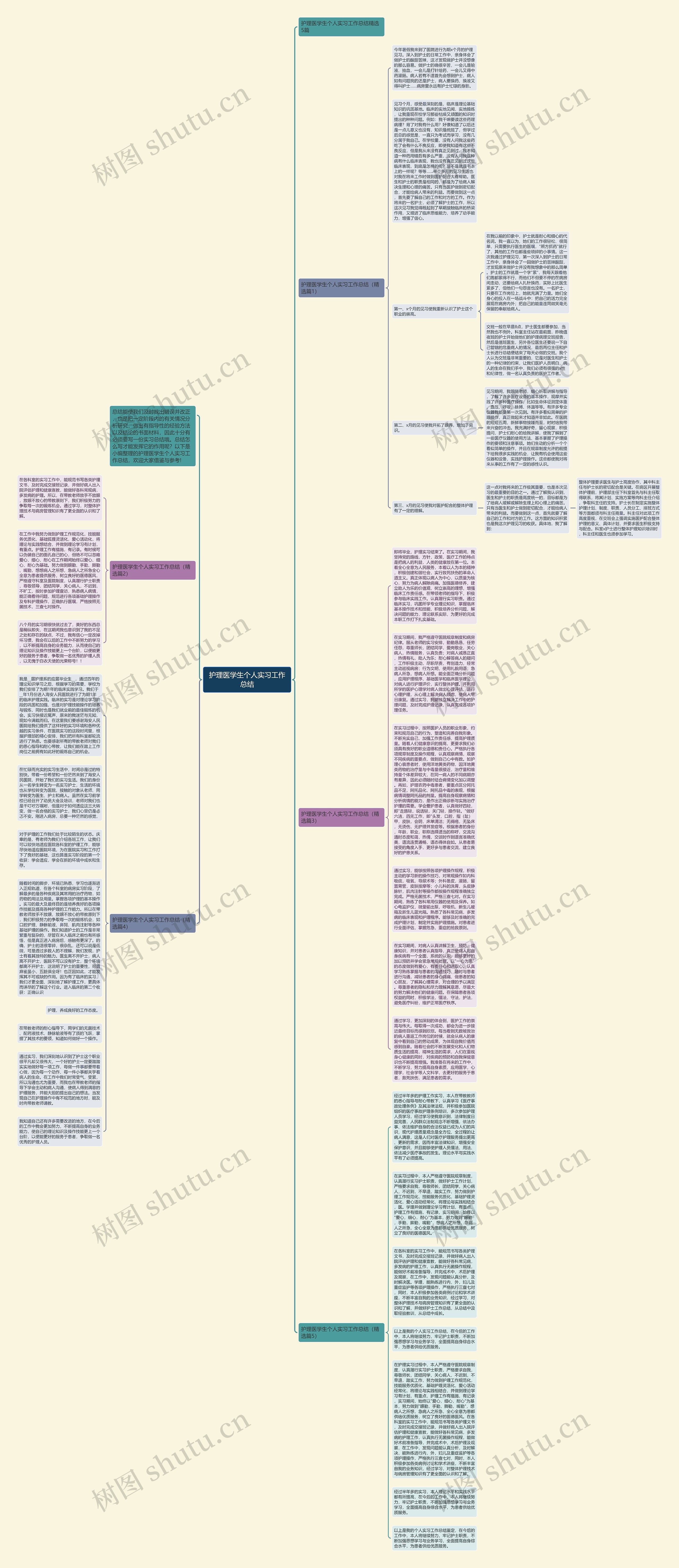护理医学生个人实习工作总结思维导图