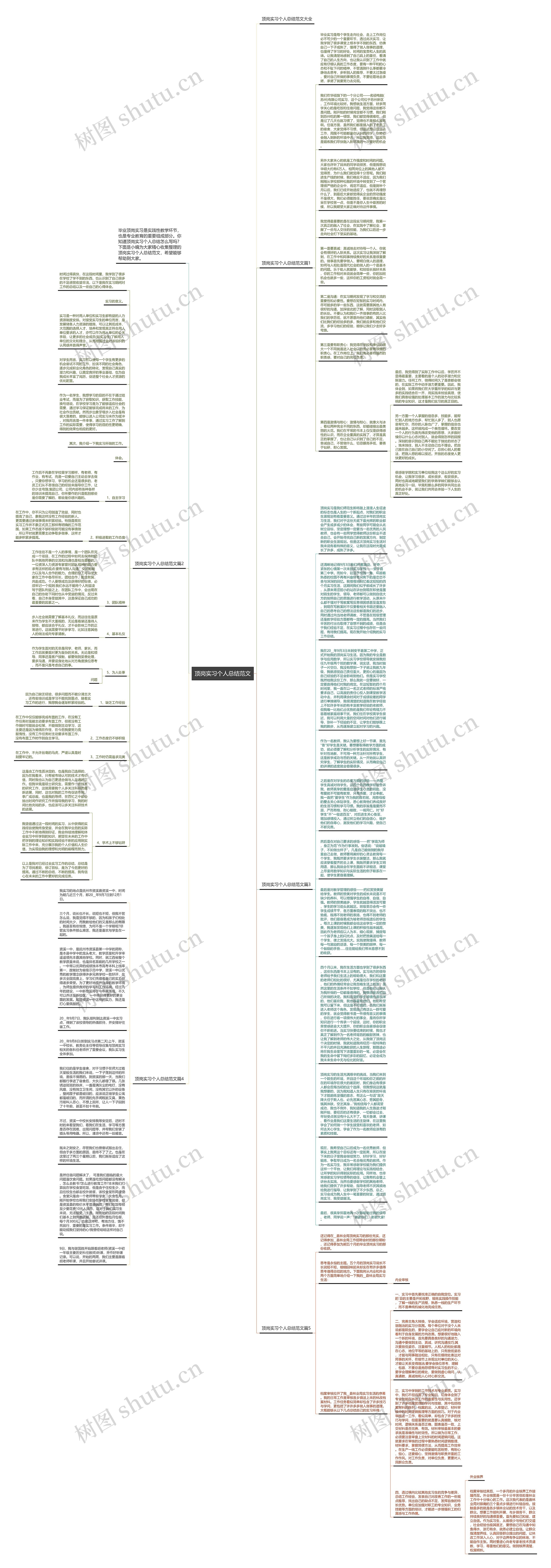 顶岗实习个人总结范文思维导图