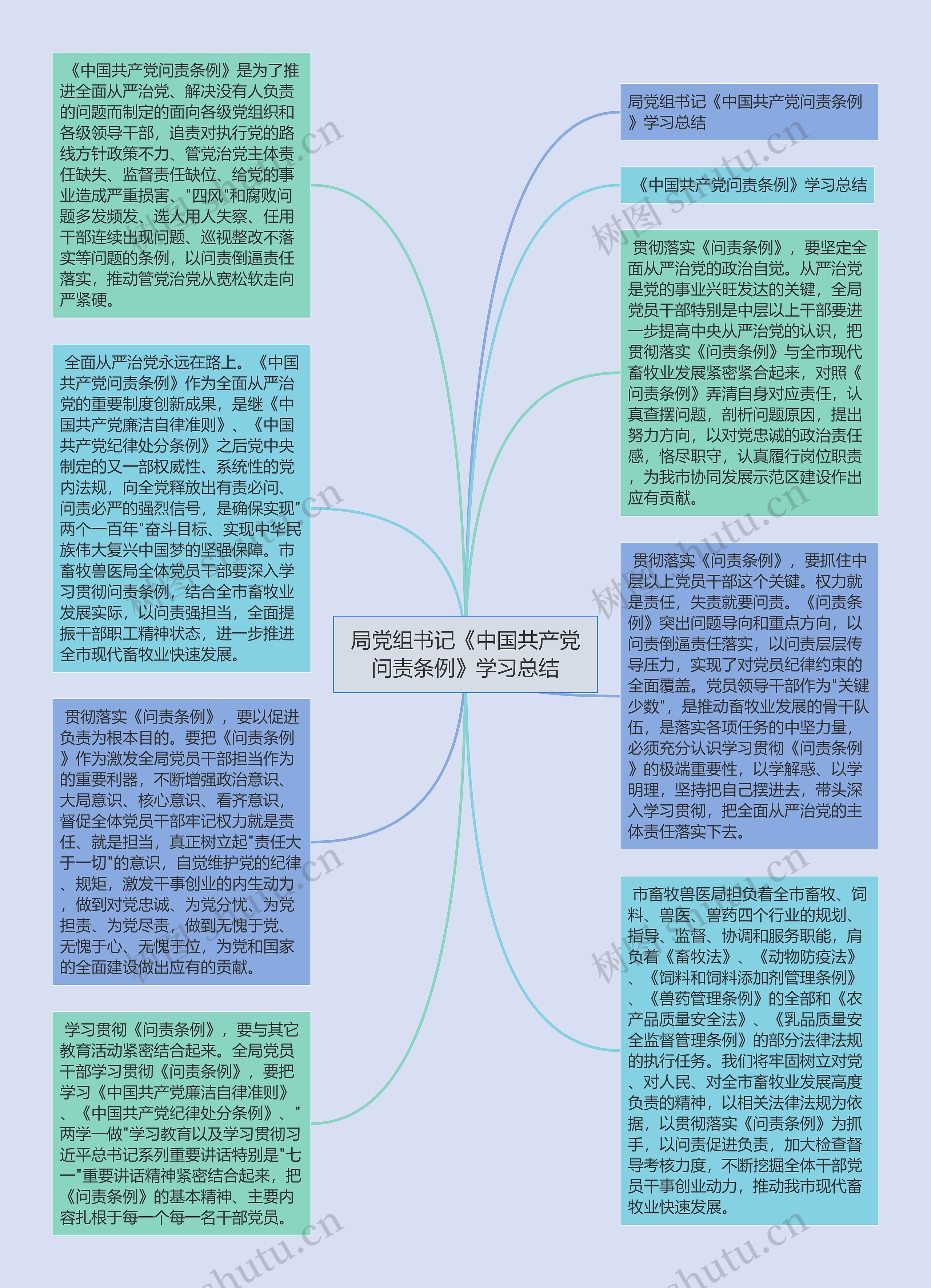 局党组书记《中国共产党问责条例》学习总结思维导图