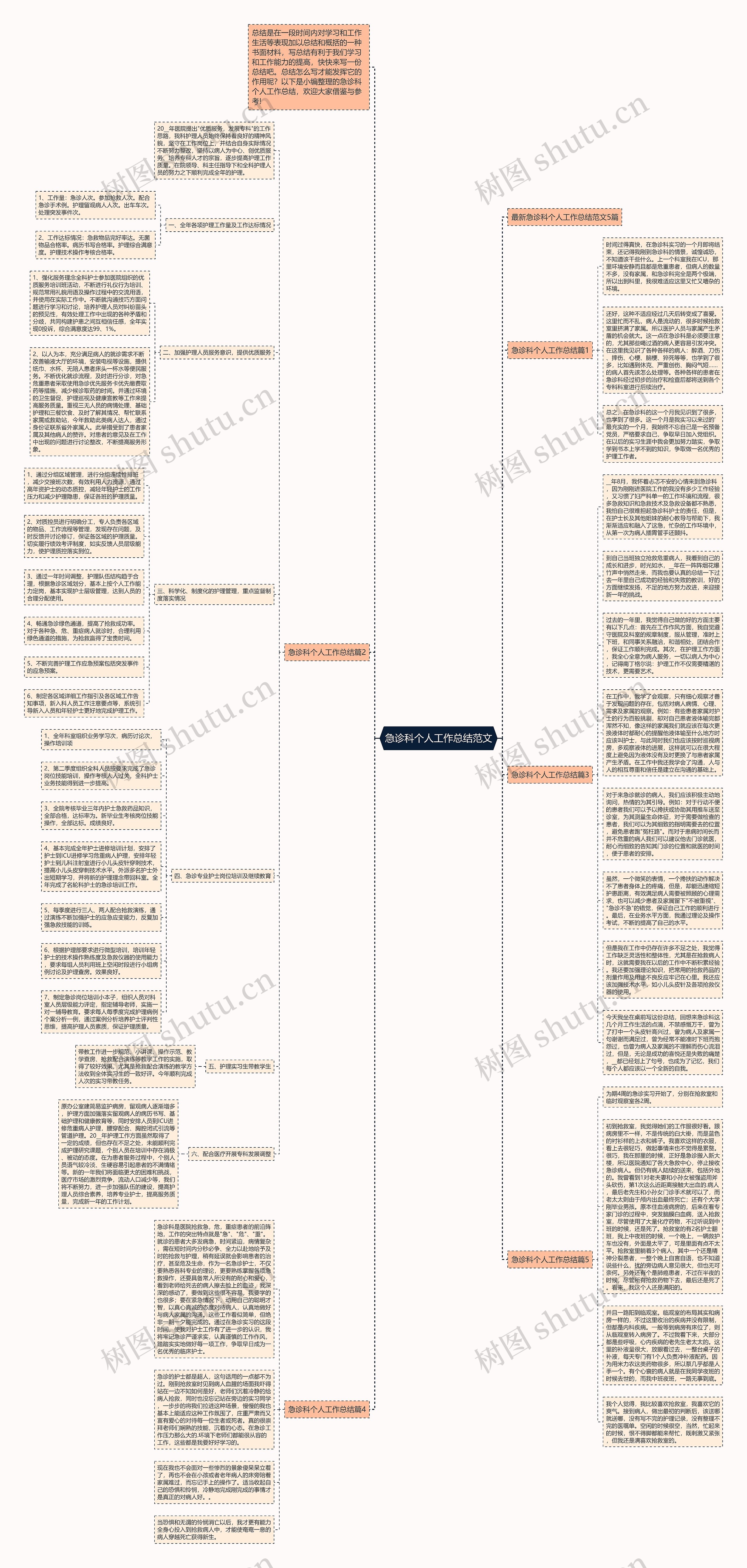 急诊科个人工作总结范文思维导图