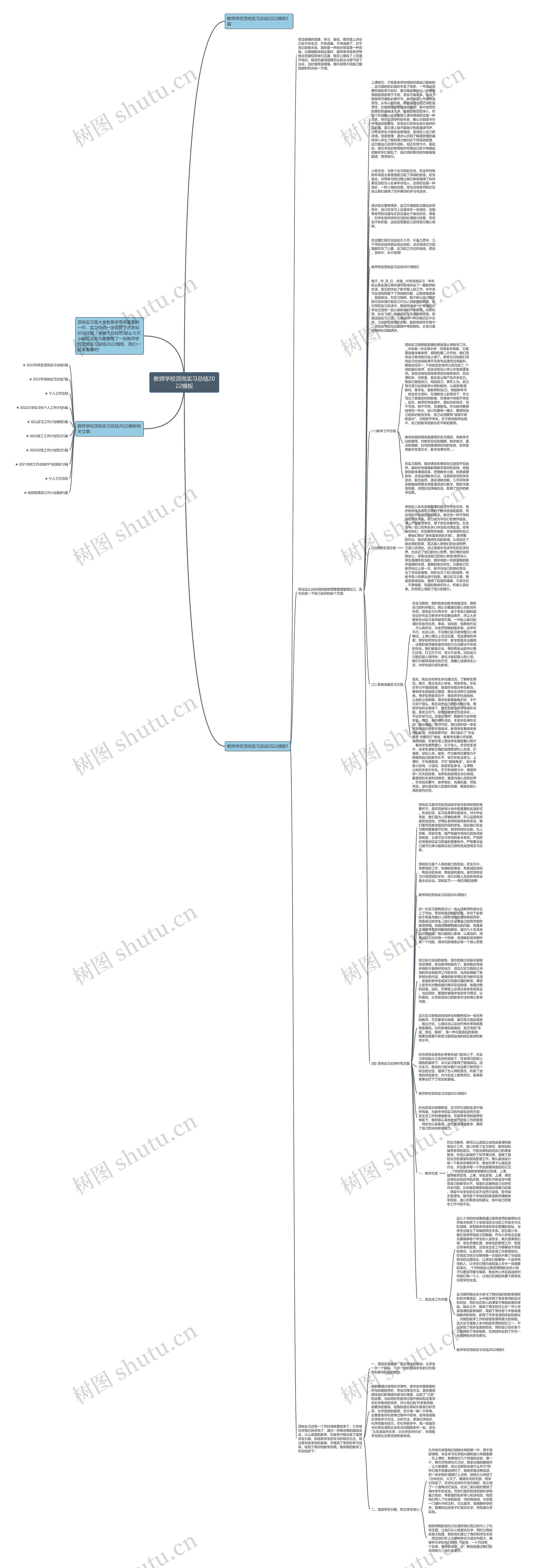 教师学校顶岗实习总结2022思维导图