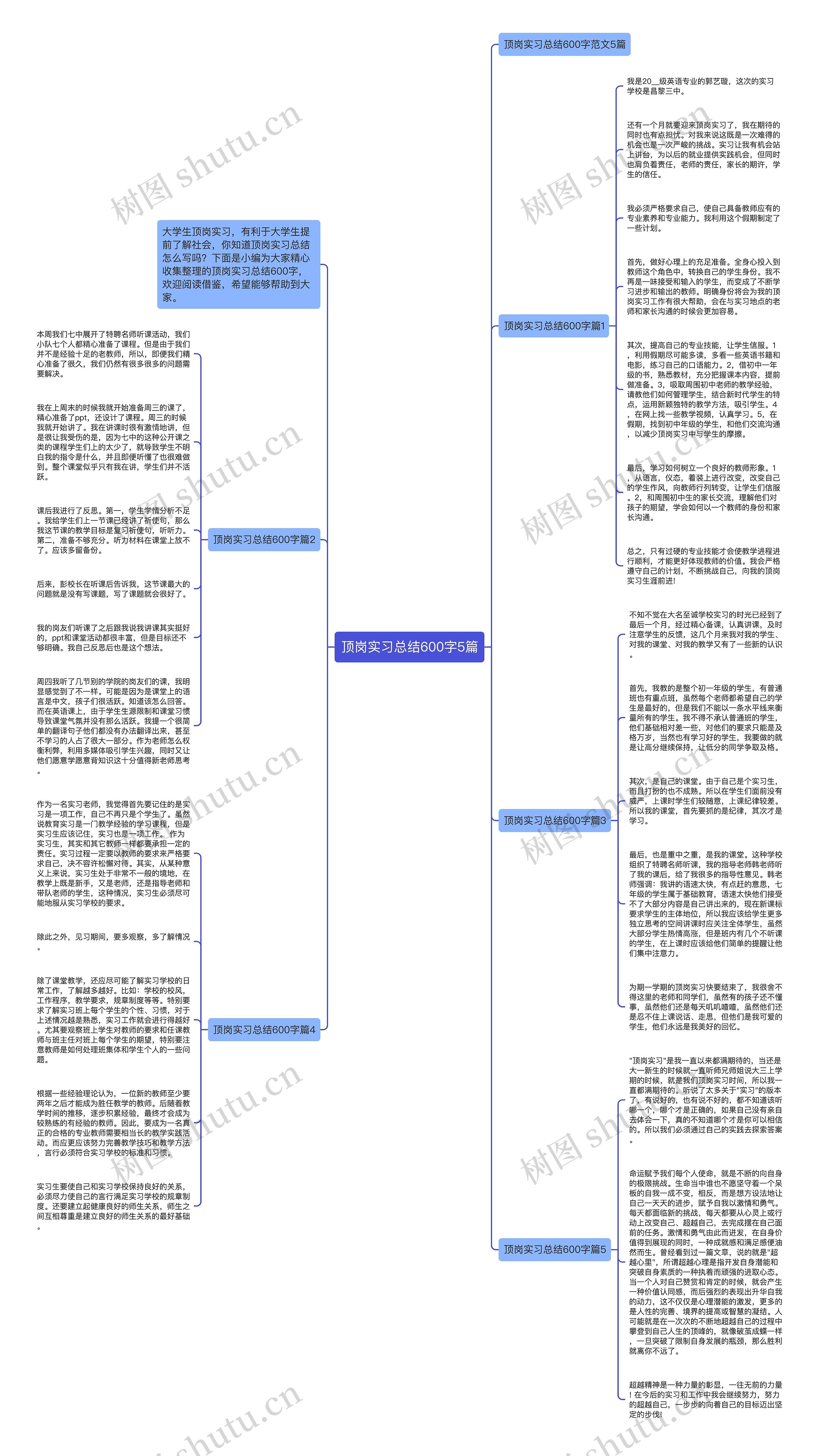 顶岗实习总结600字5篇思维导图