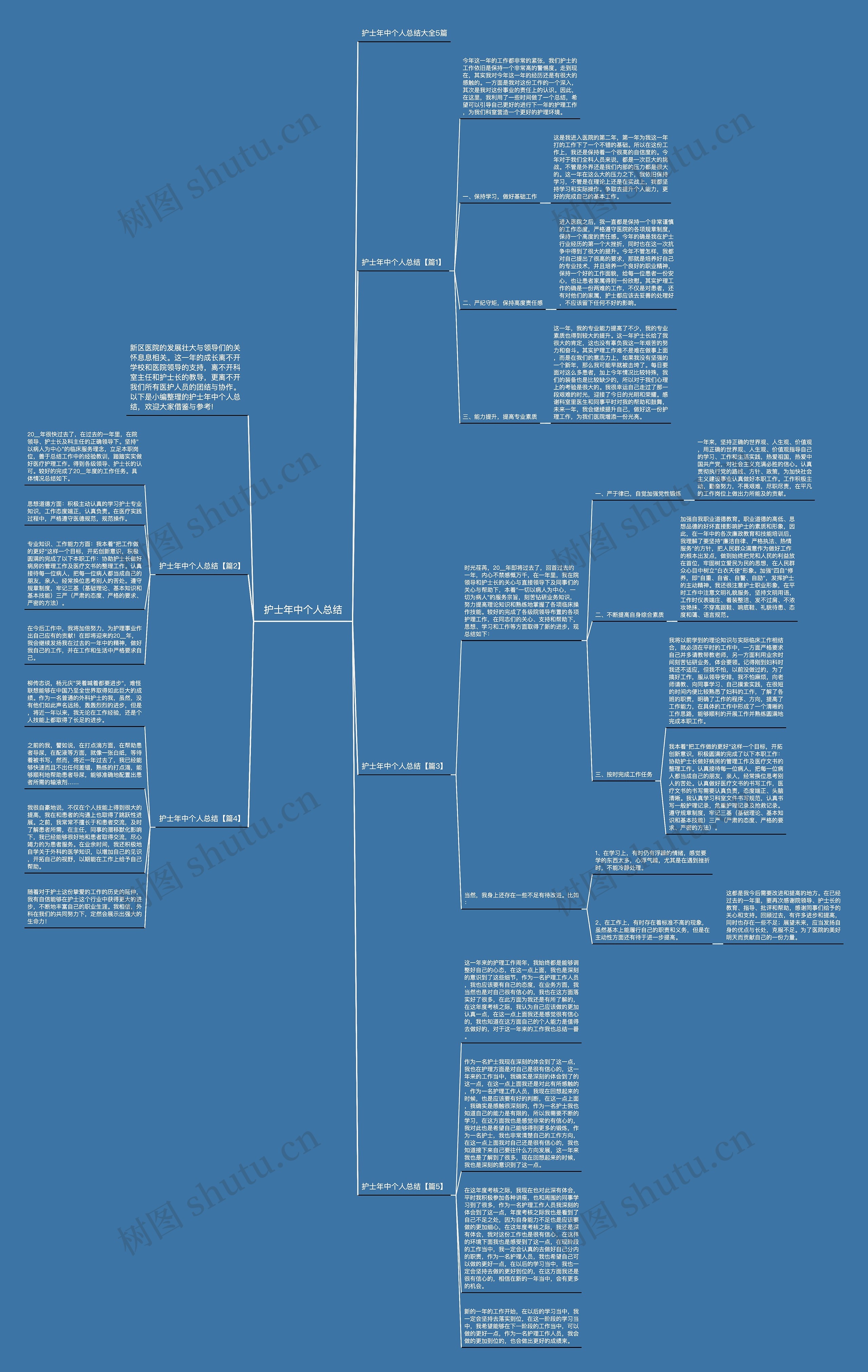 护士年中个人总结思维导图