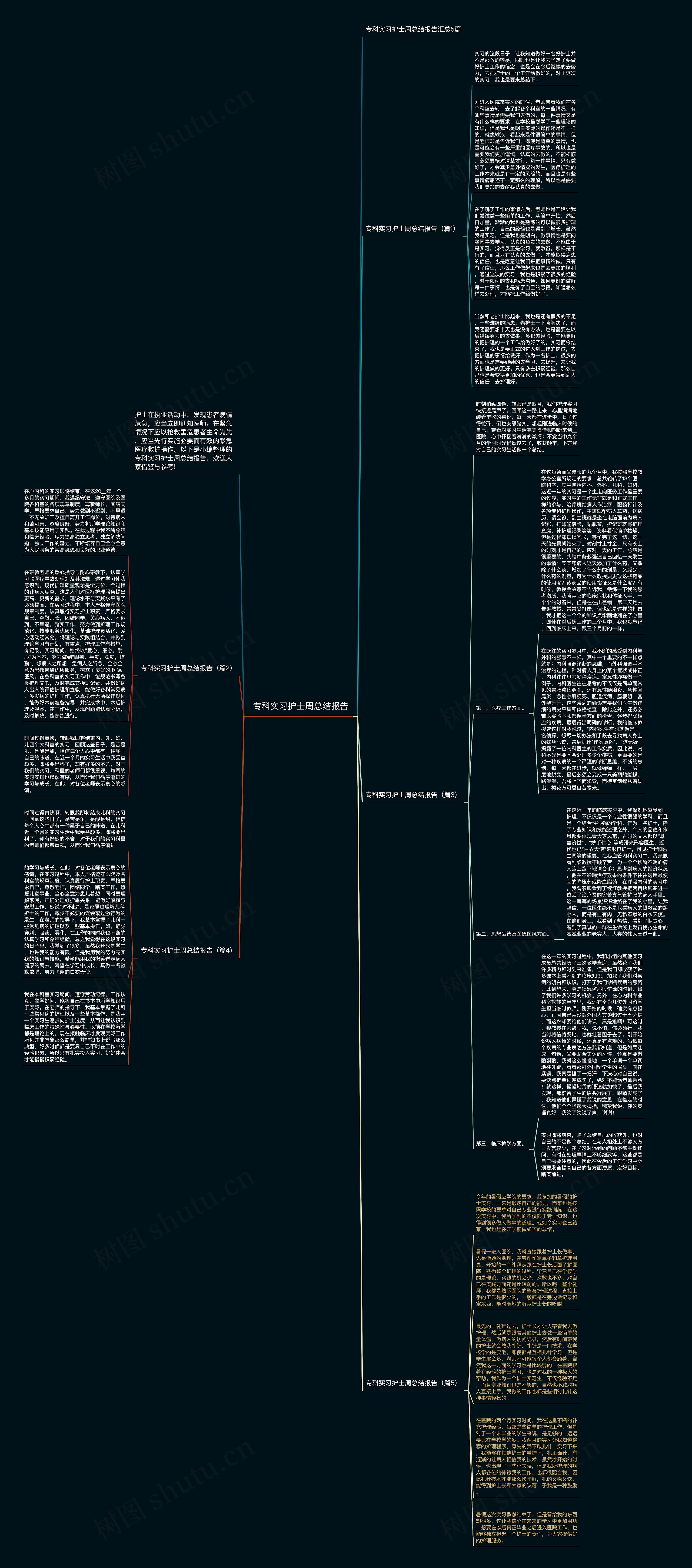专科实习护士周总结报告思维导图