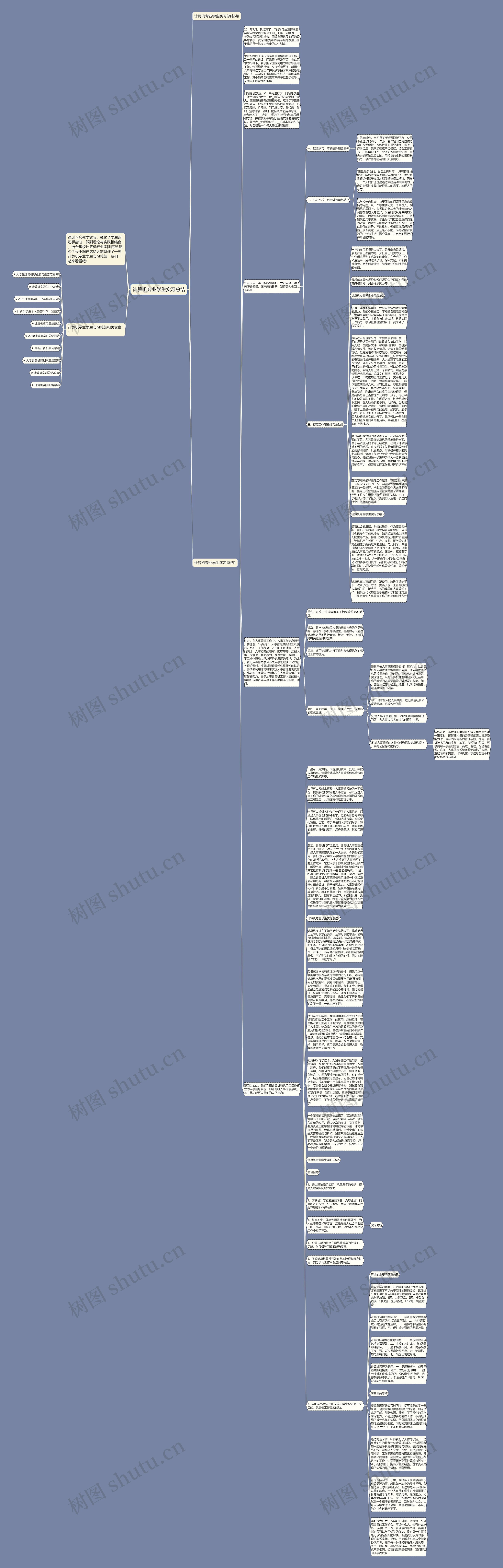 计算机专业学生实习总结思维导图