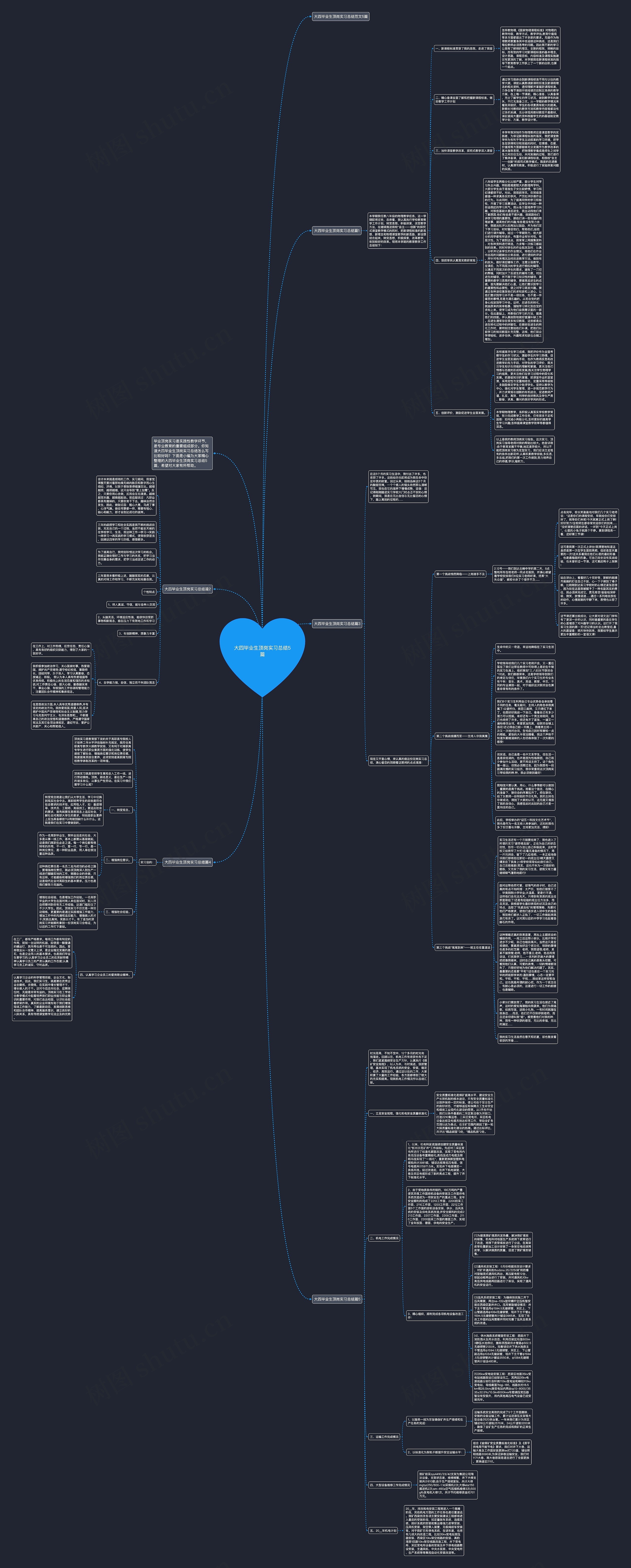 大四毕业生顶岗实习总结5篇思维导图