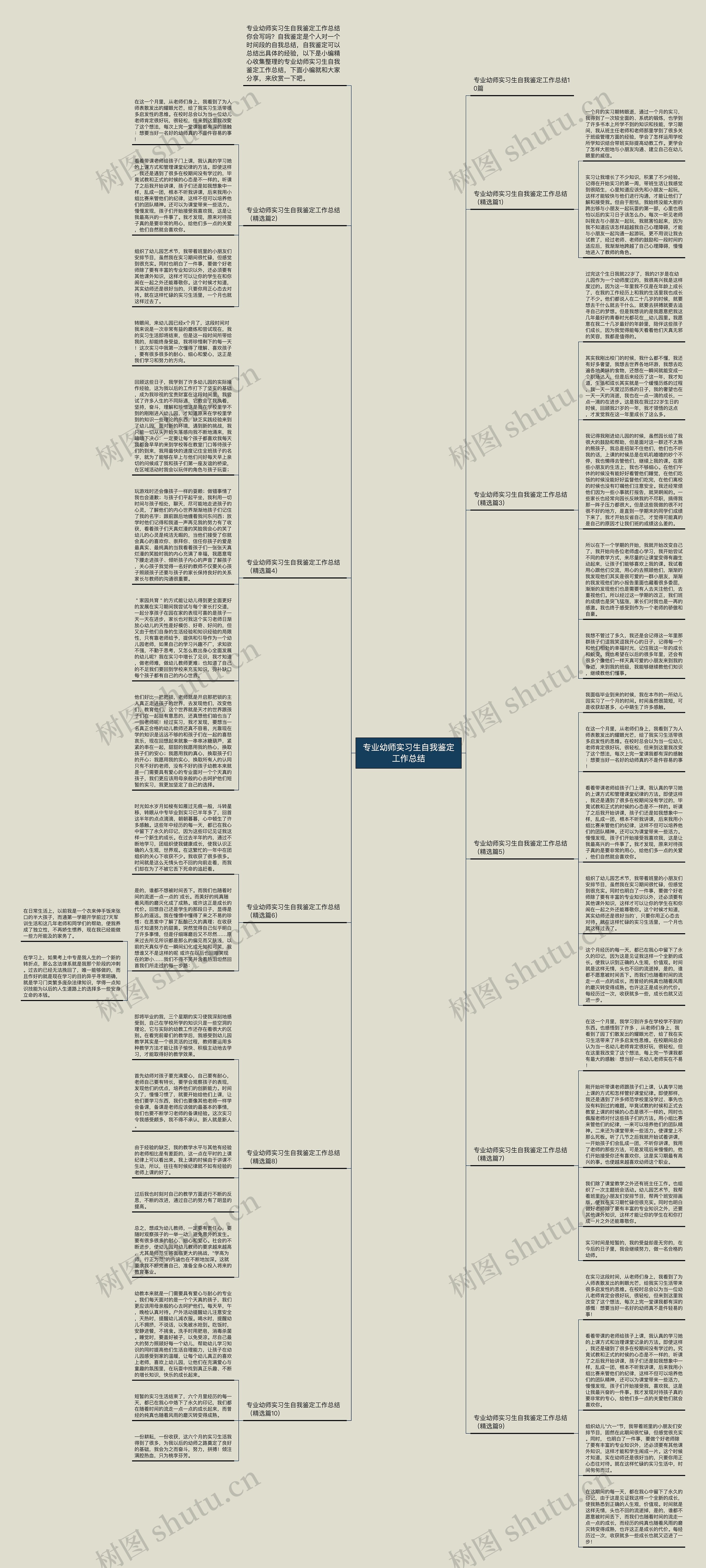 专业幼师实习生自我鉴定工作总结思维导图