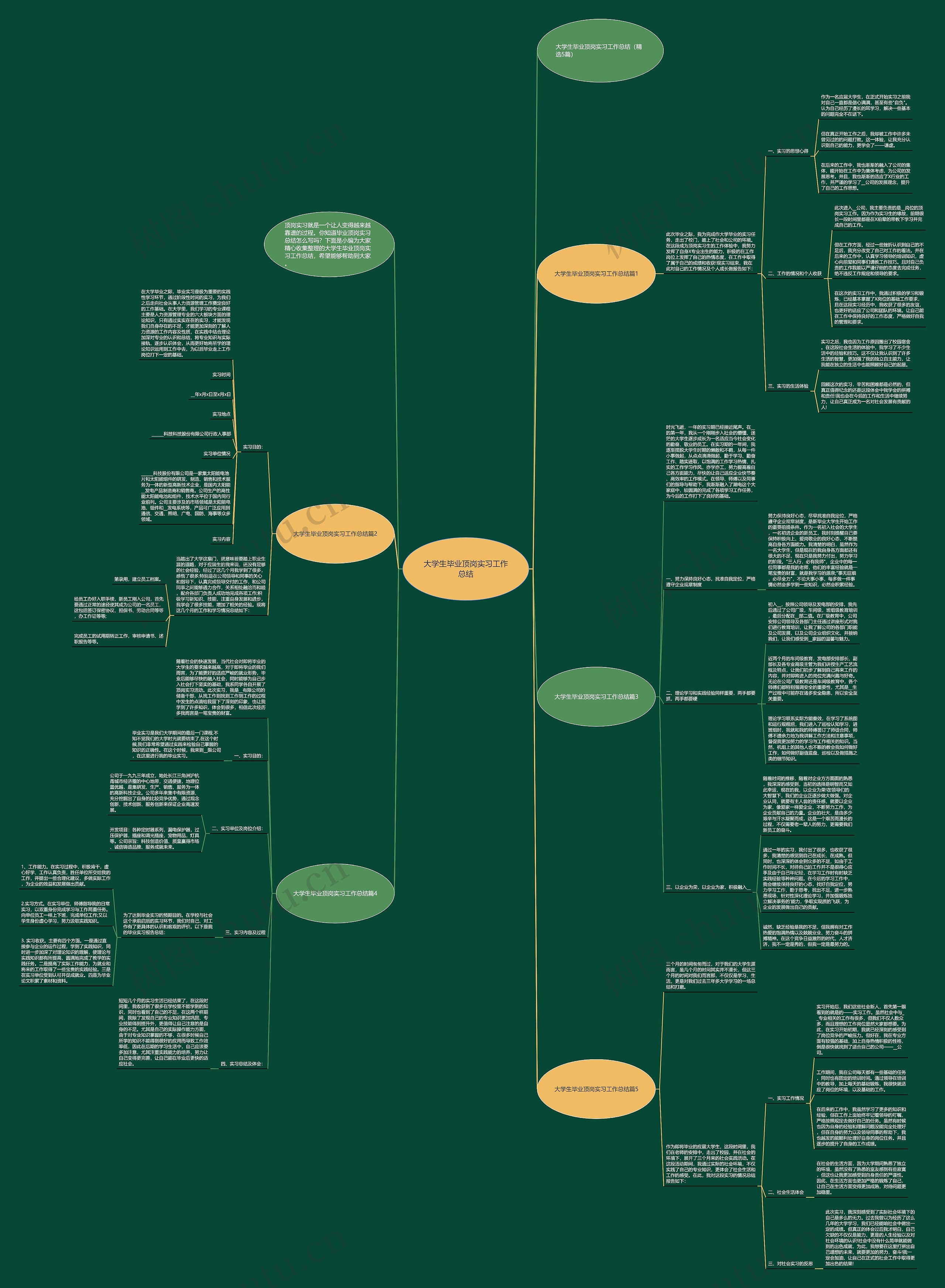 大学生毕业顶岗实习工作总结思维导图
