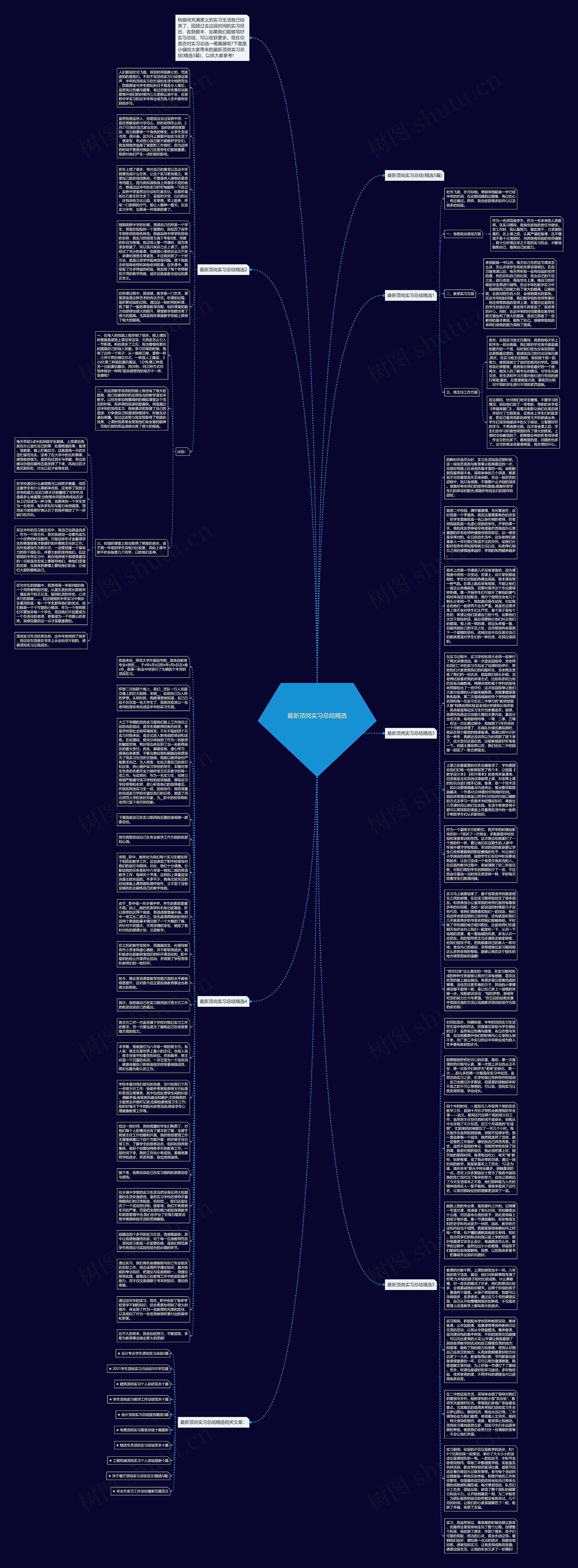 最新顶岗实习总结精选思维导图