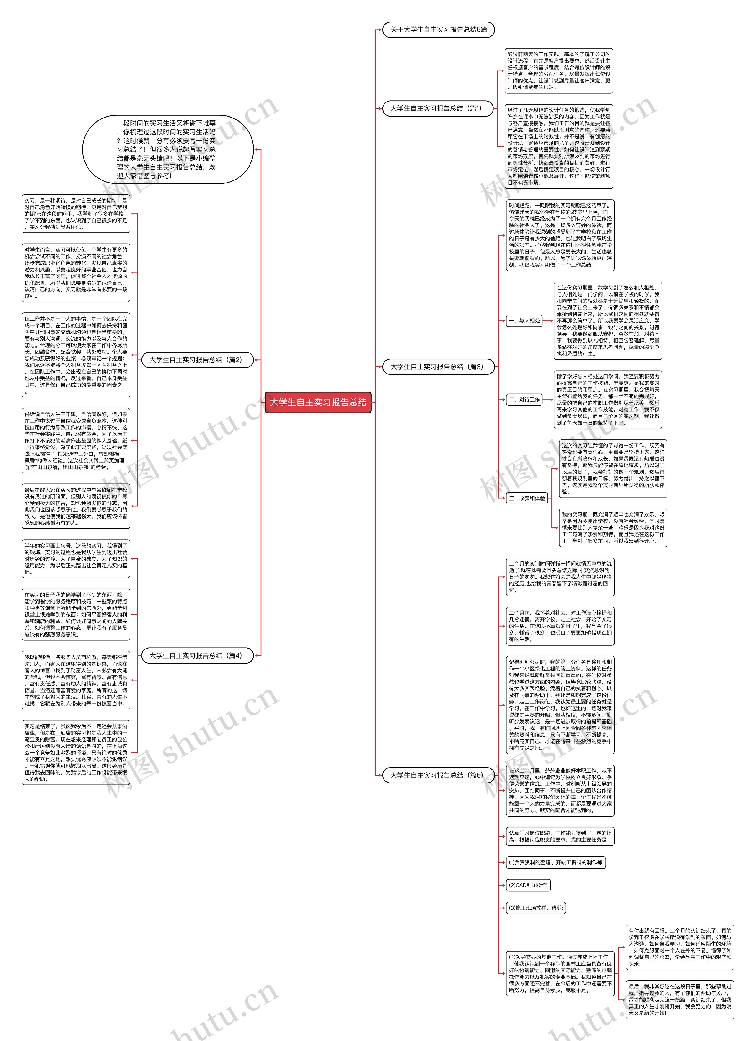 大学生自主实习报告总结思维导图