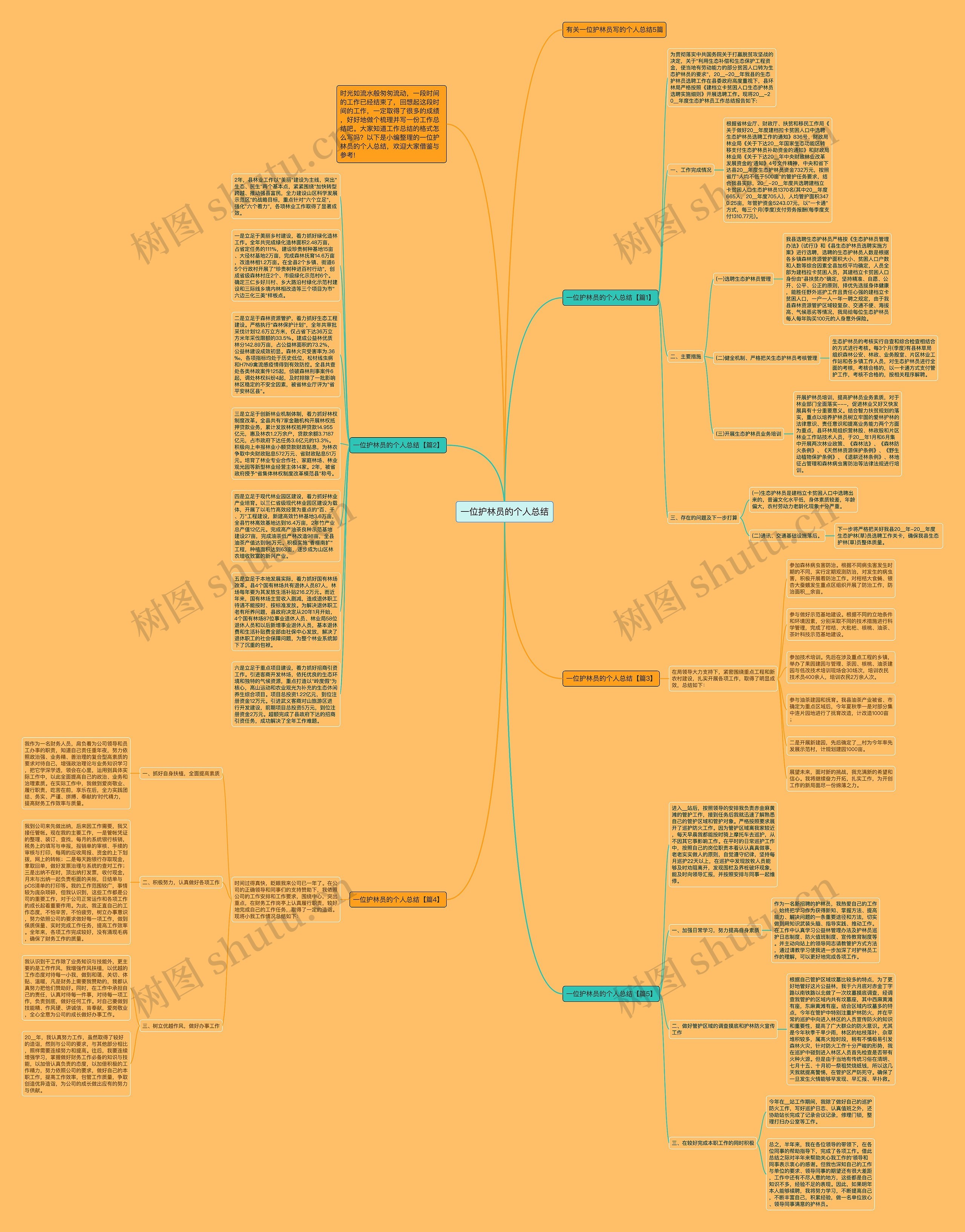 一位护林员的个人总结思维导图