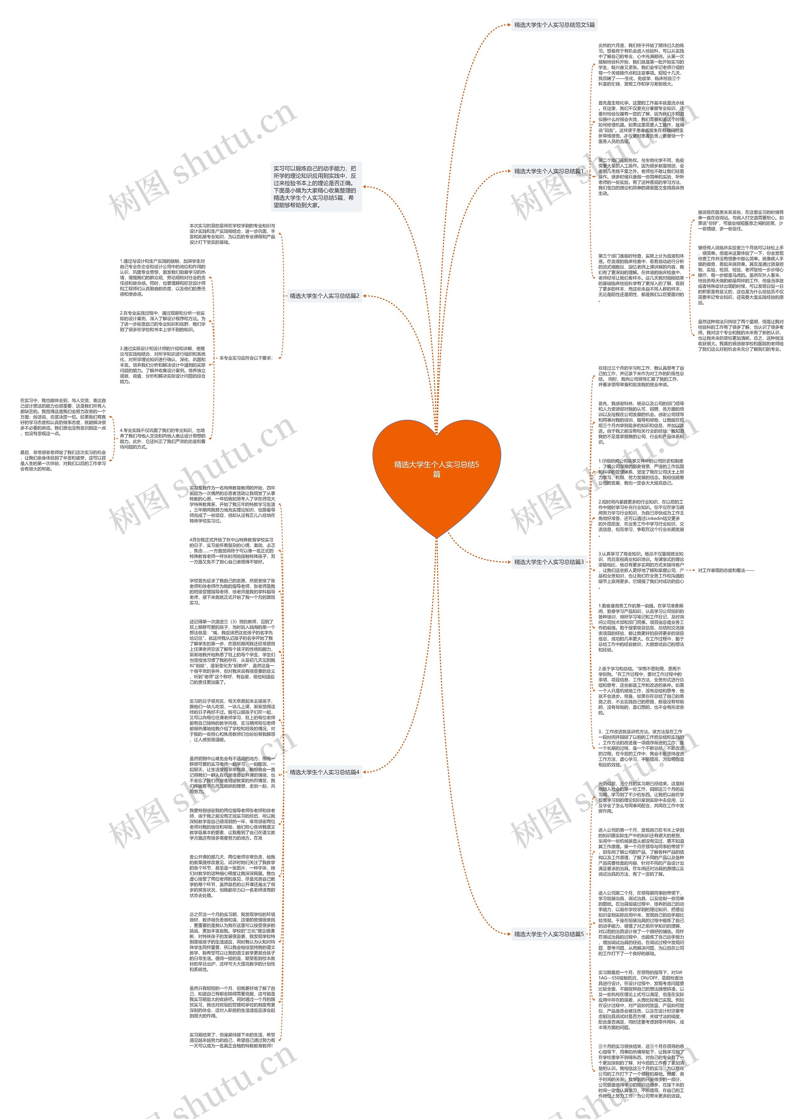 精选大学生个人实习总结5篇思维导图