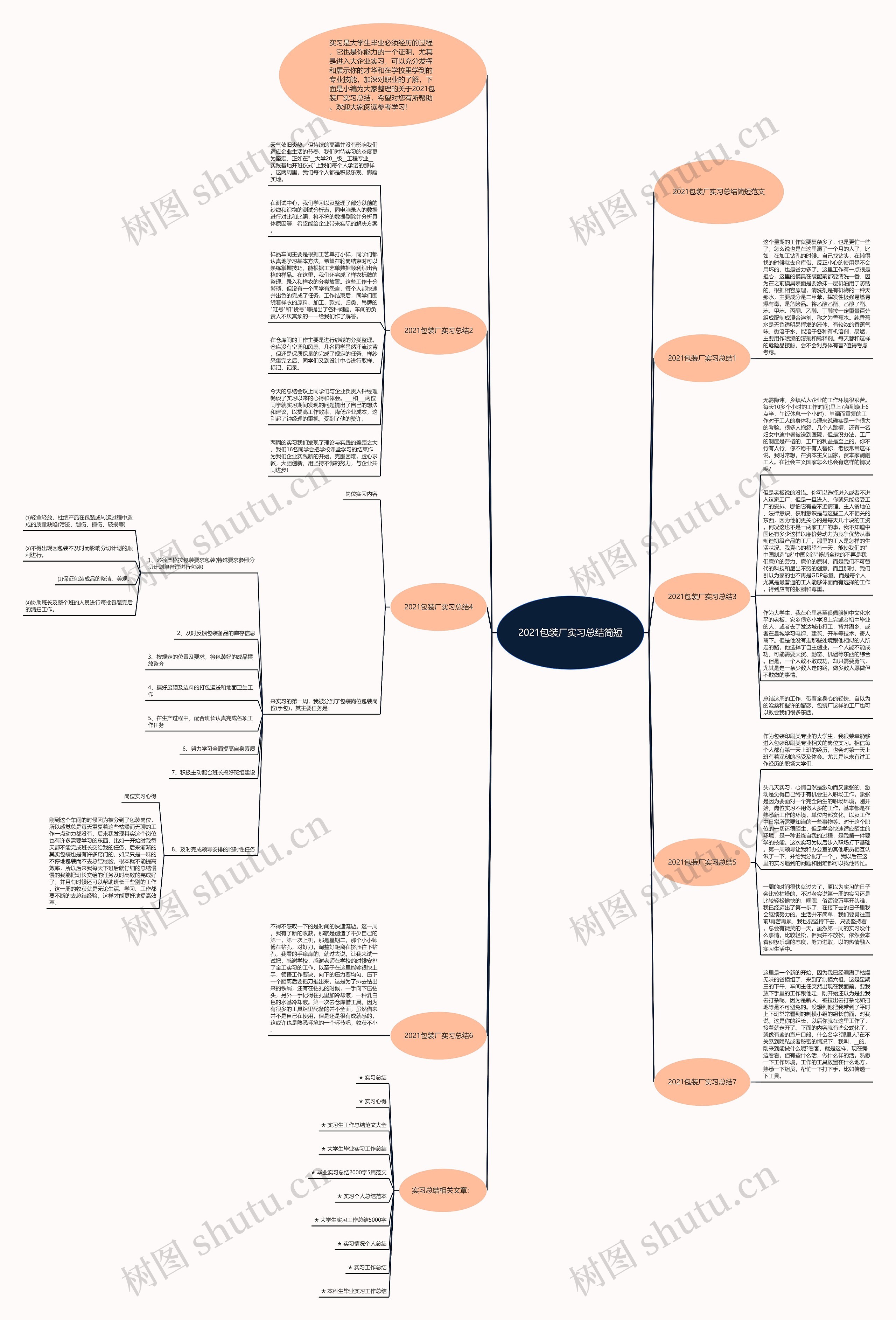 2021包装厂实习总结简短思维导图