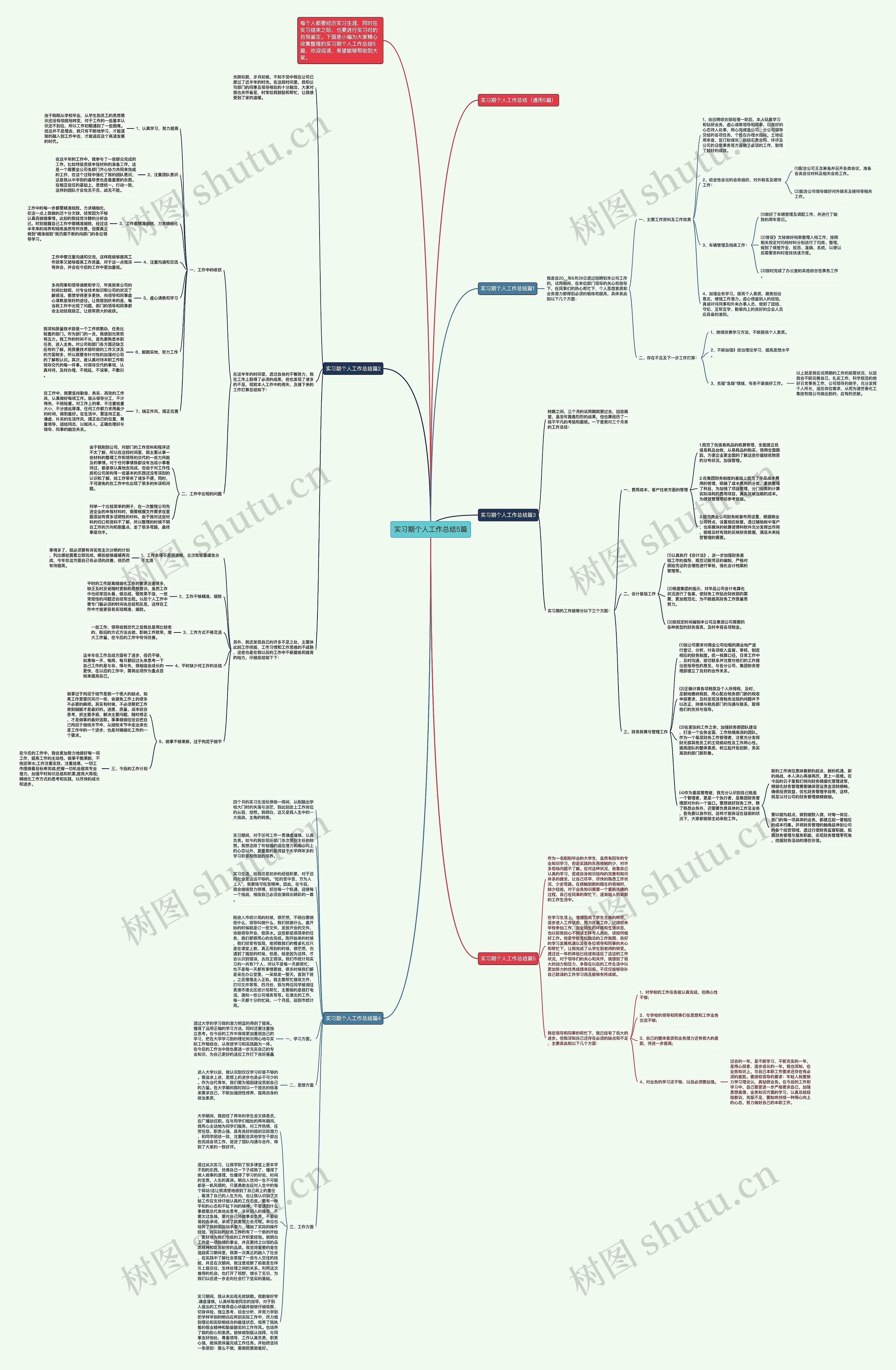 实习期个人工作总结5篇思维导图