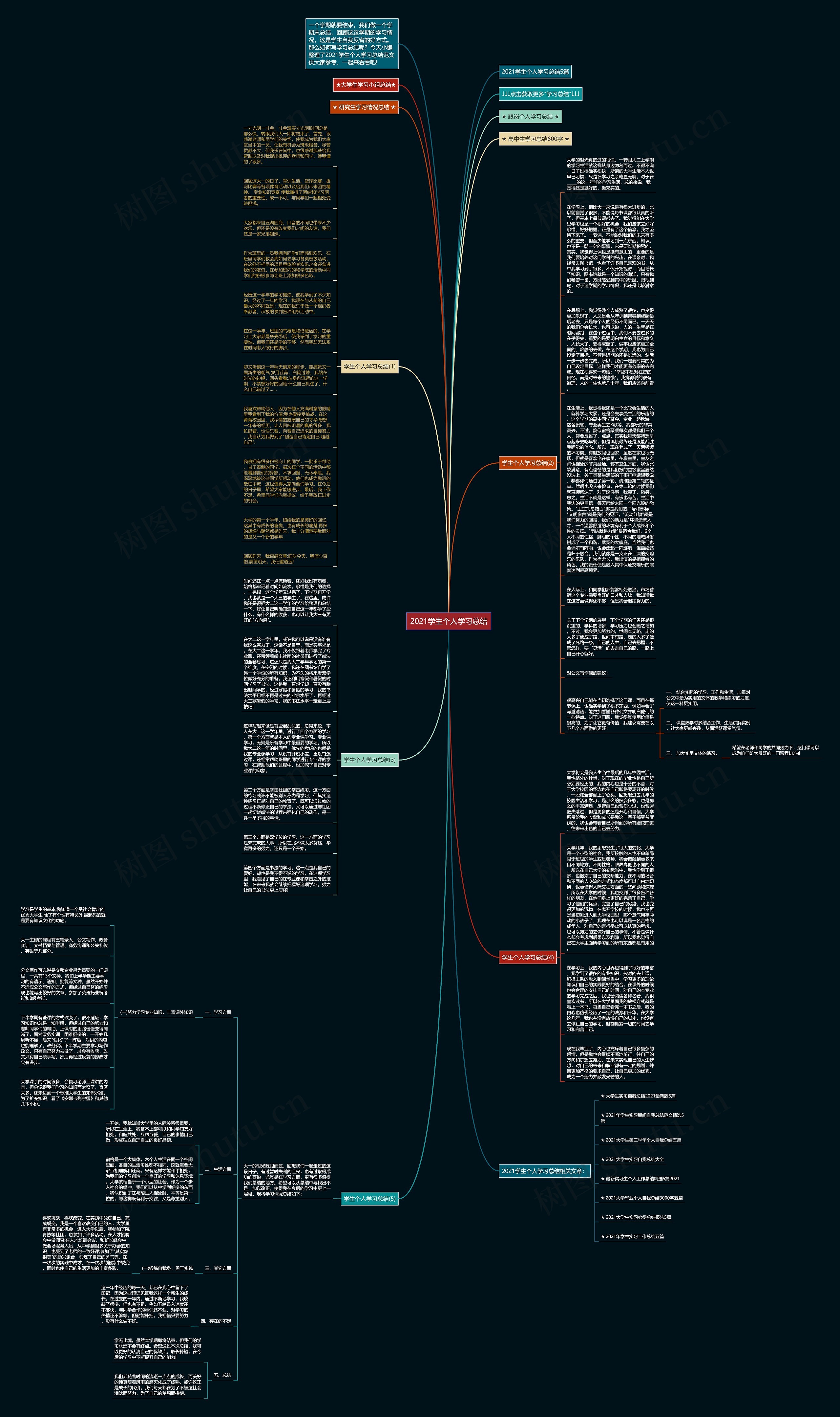 2021学生个人学习总结思维导图