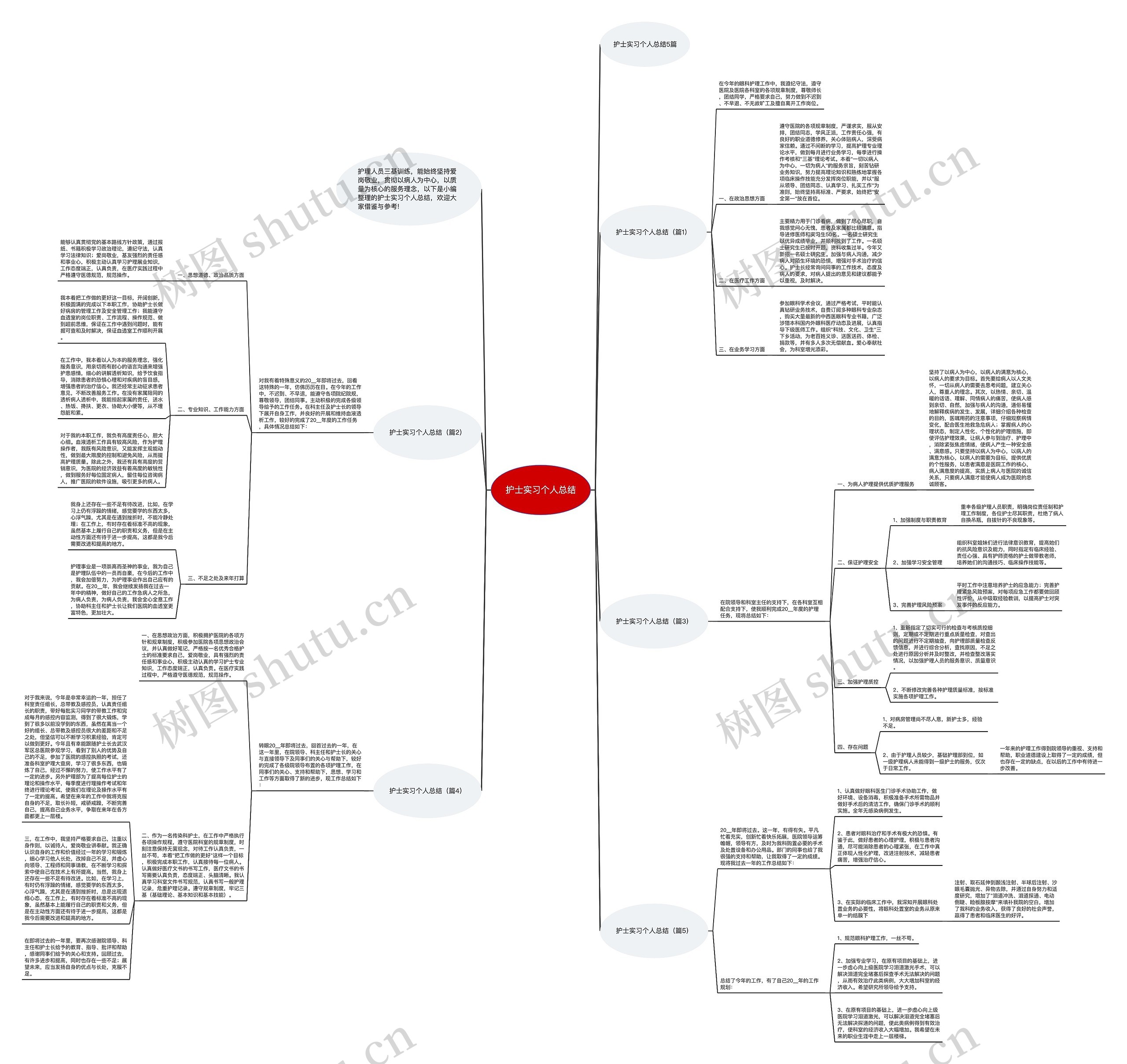 护士实习个人总结思维导图