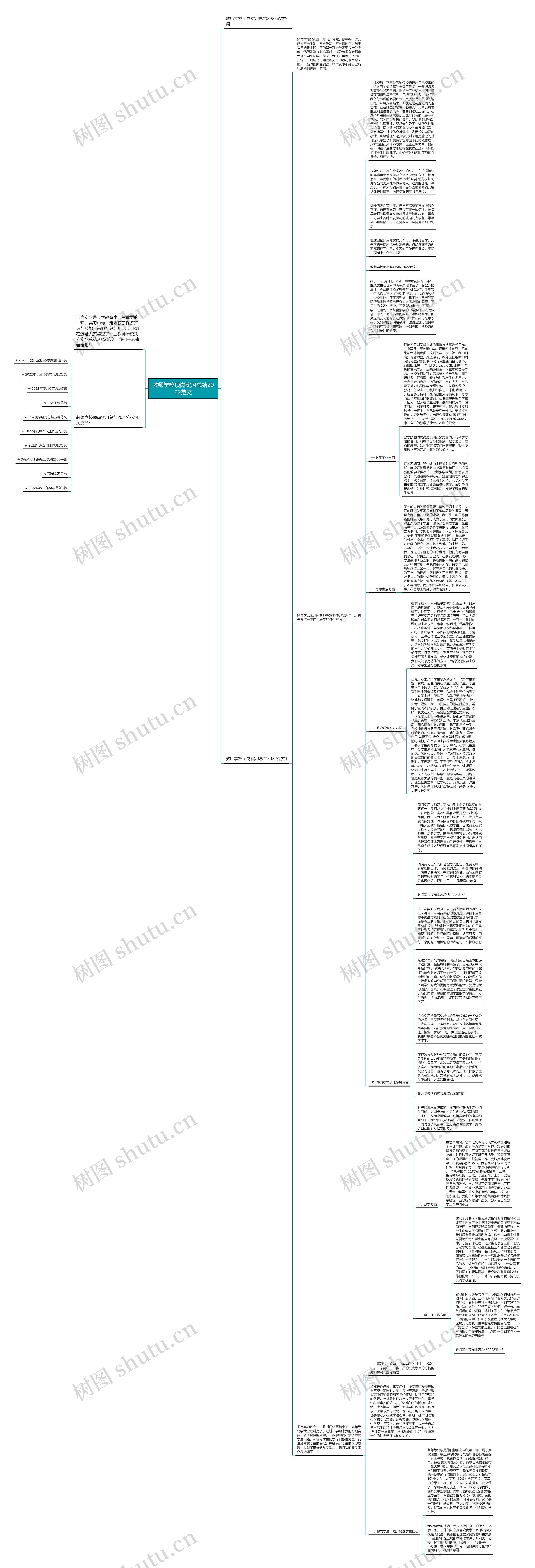 教师学校顶岗实习总结2022范文思维导图