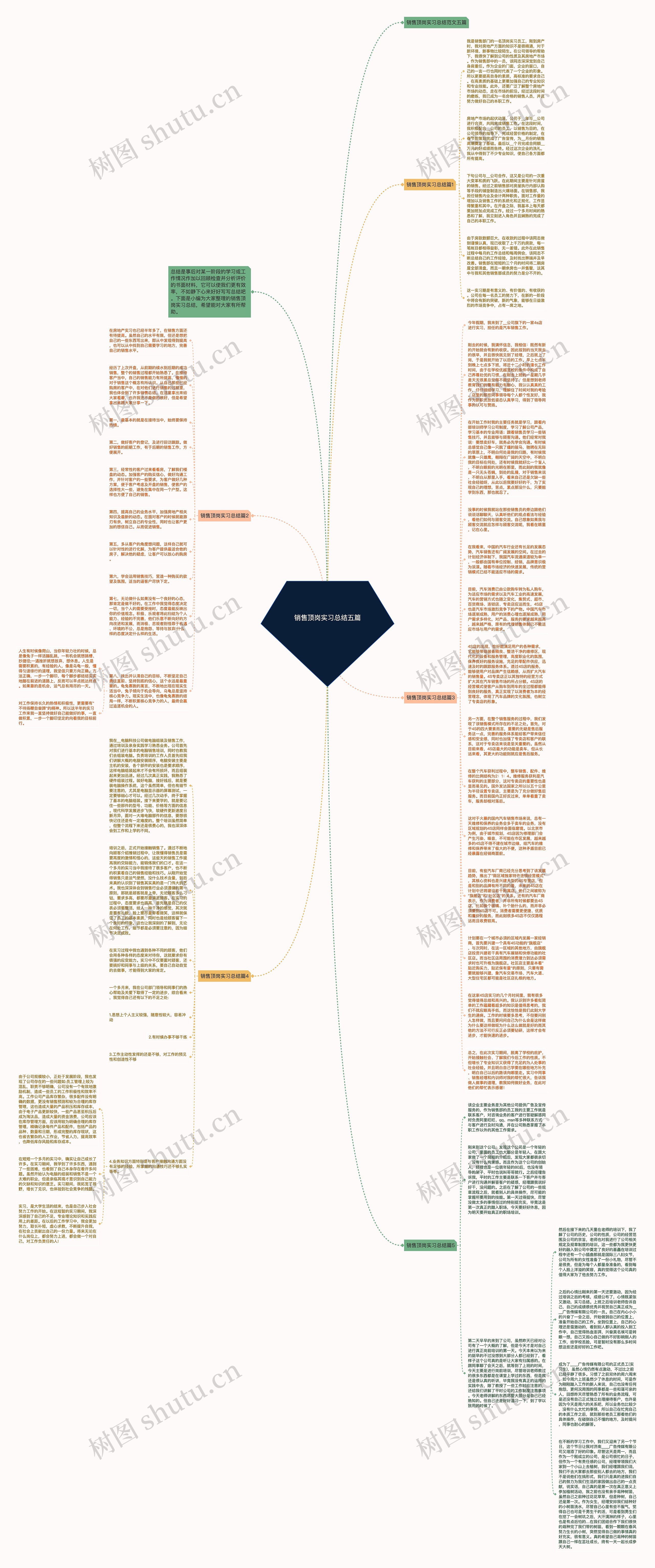 销售顶岗实习总结五篇思维导图