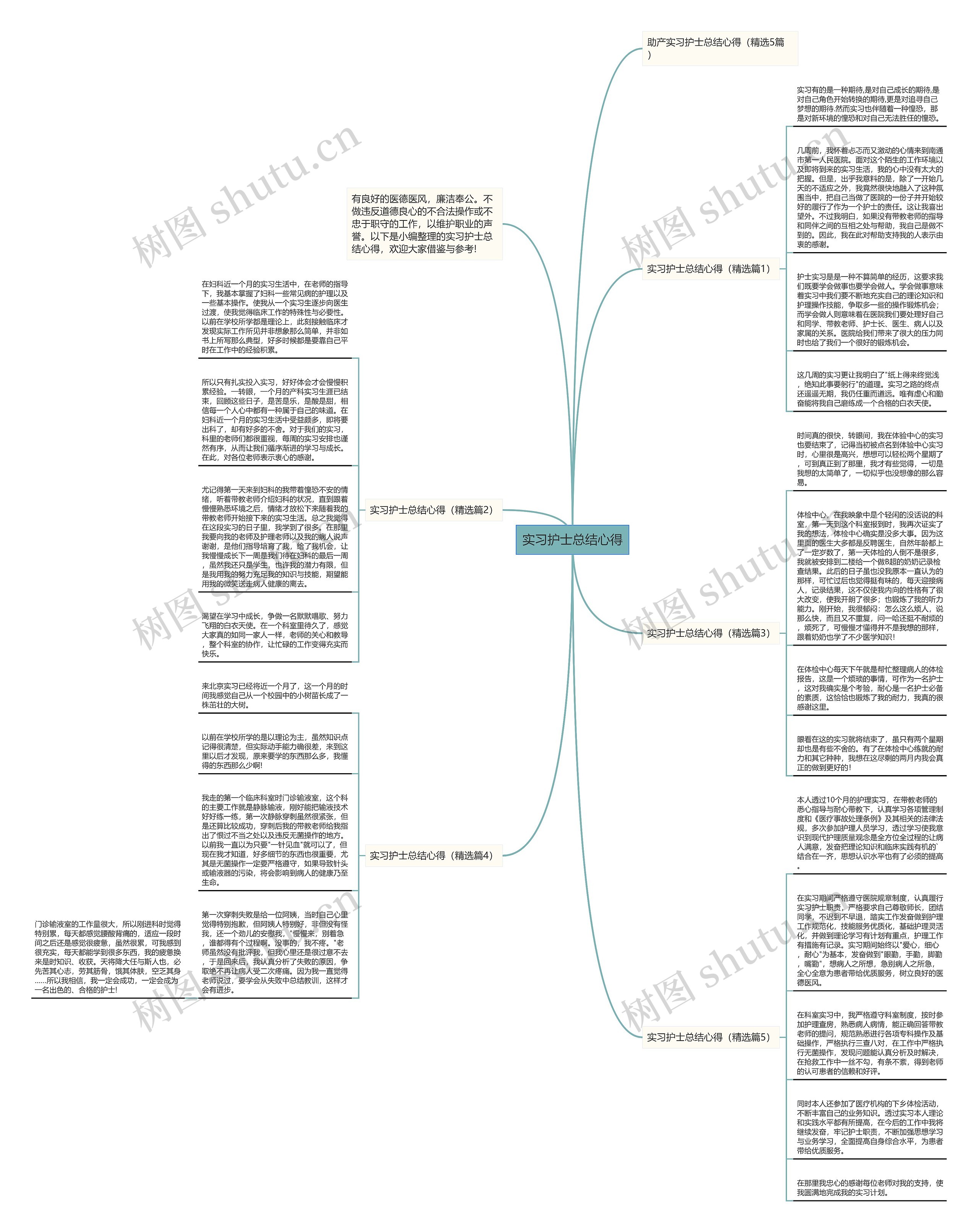 实习护士总结心得思维导图