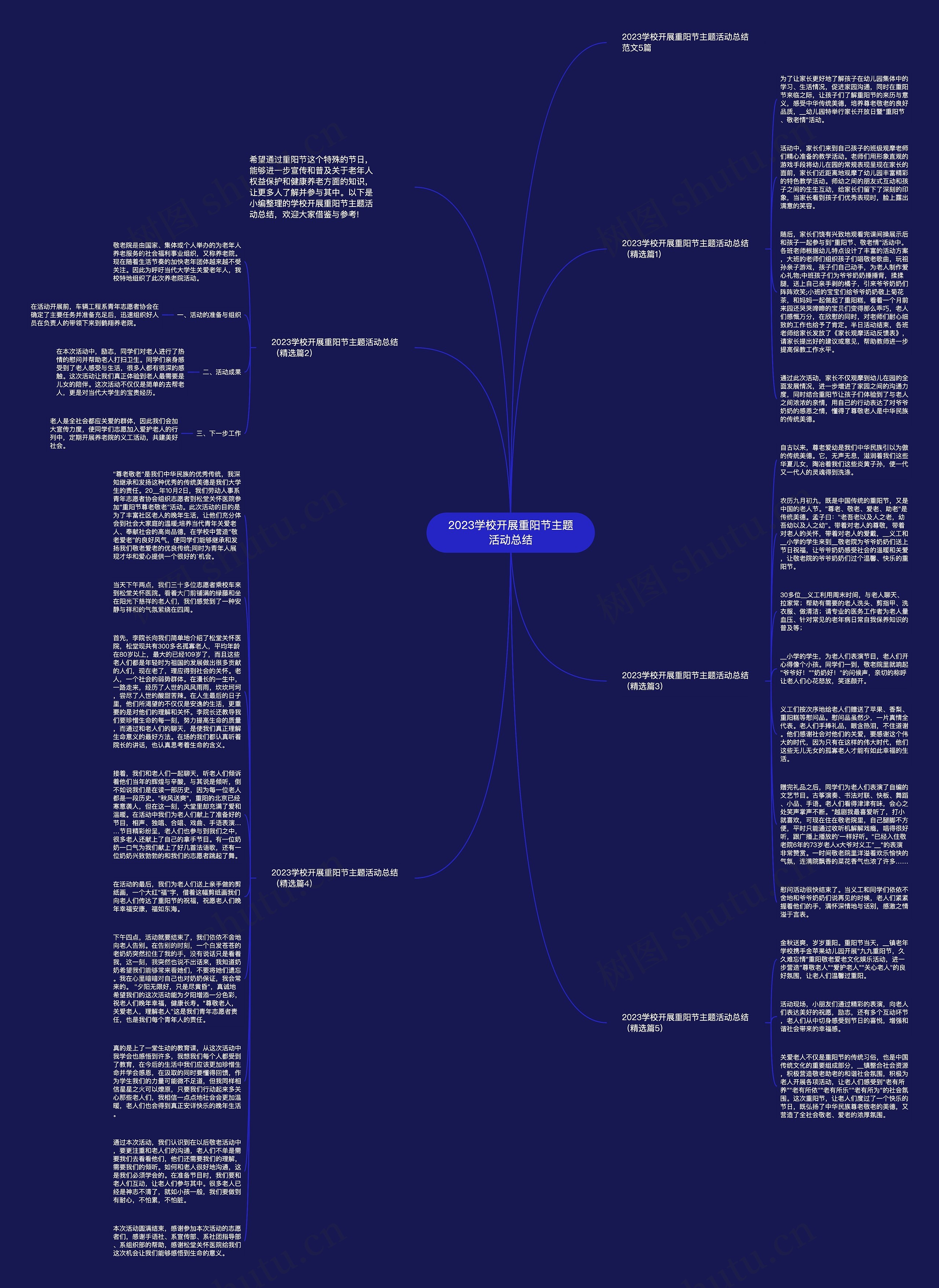2023学校开展重阳节主题活动总结思维导图
