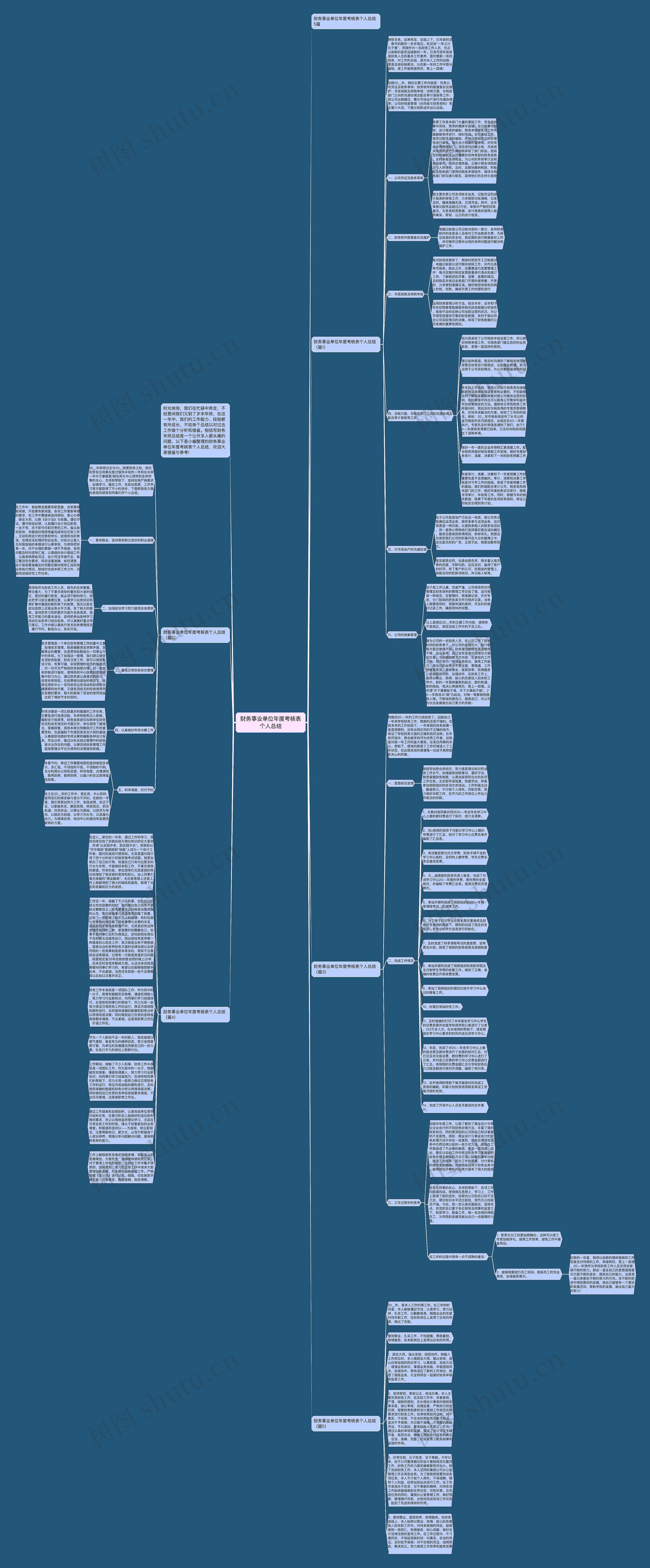 财务事业单位年度考核表个人总结思维导图