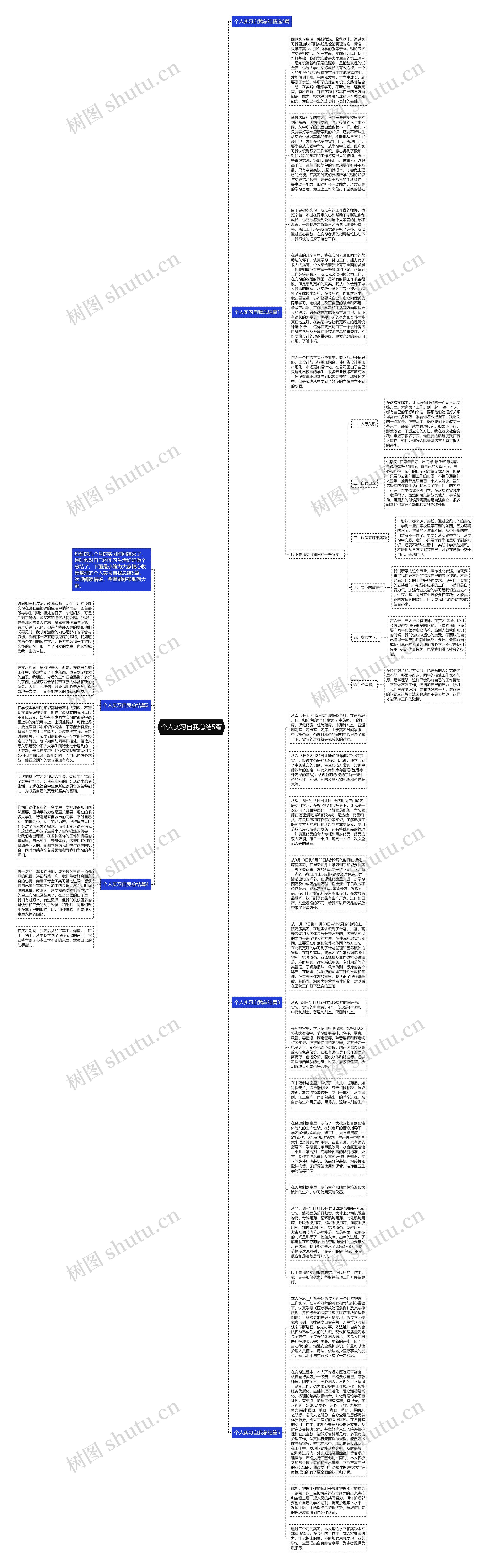个人实习自我总结5篇思维导图