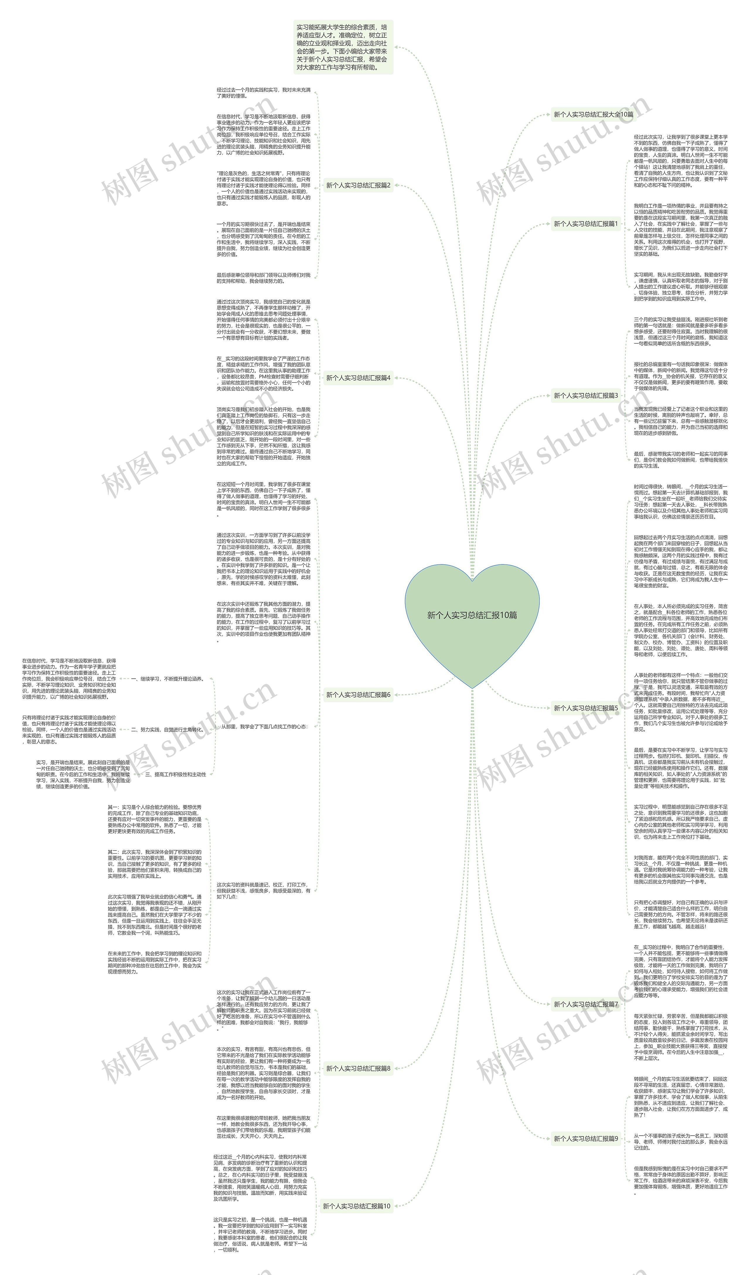 新个人实习总结汇报10篇思维导图