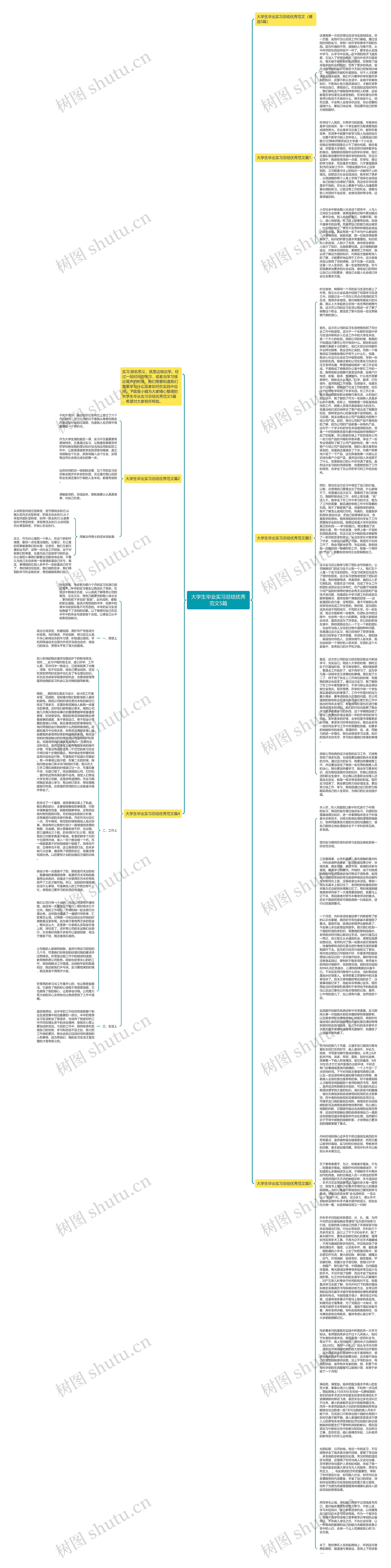 大学生毕业实习总结优秀范文5篇思维导图