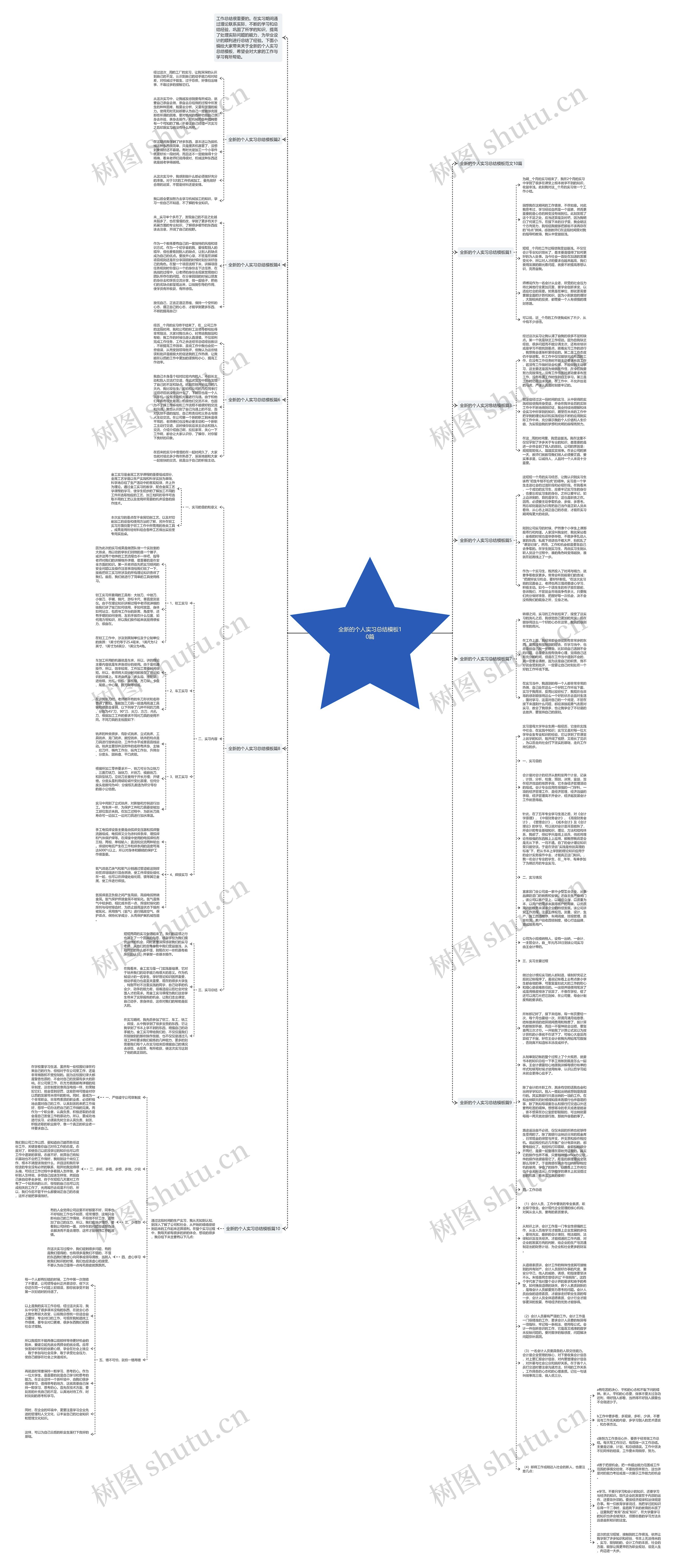 全新的个人实习总结10篇思维导图