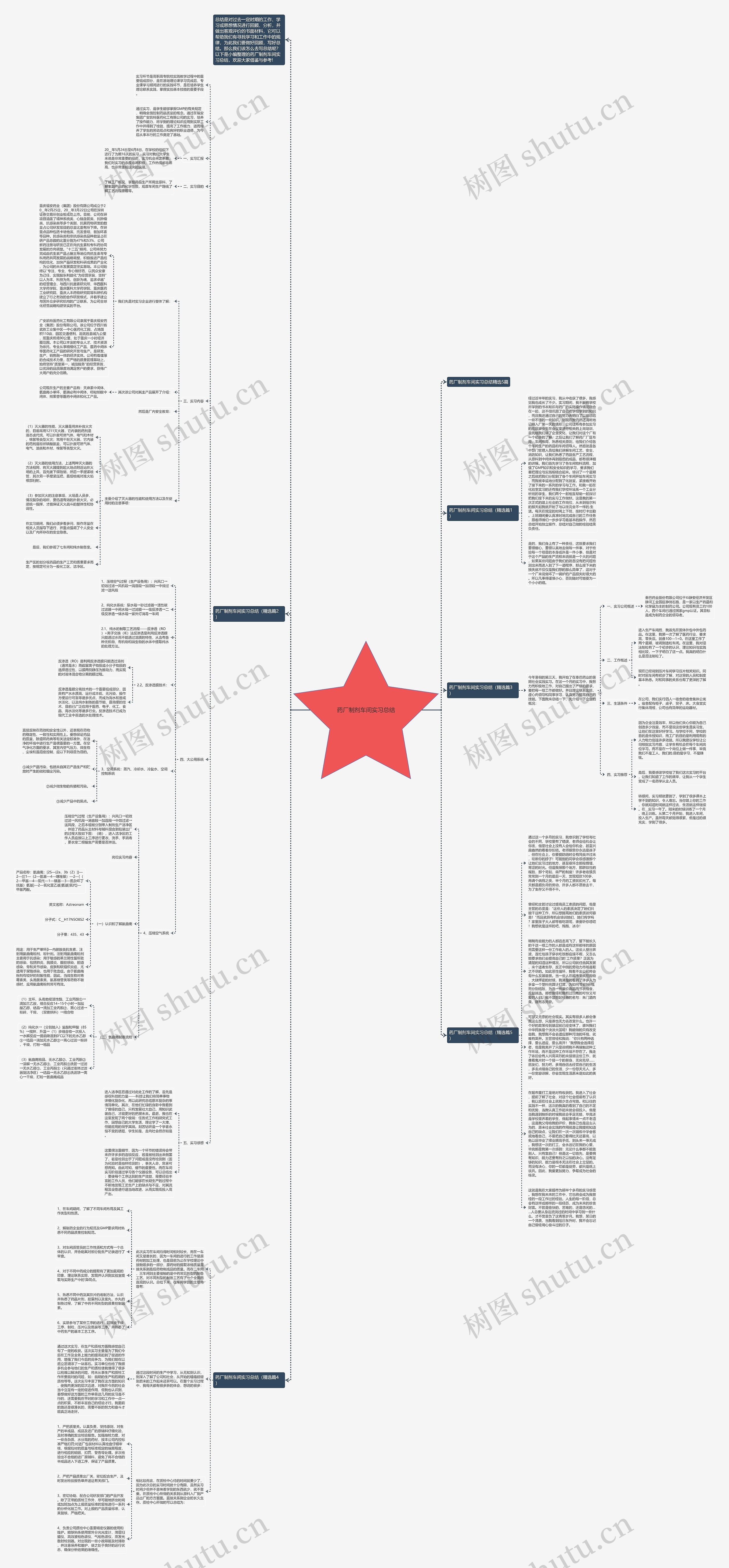 药厂制剂车间实习总结思维导图