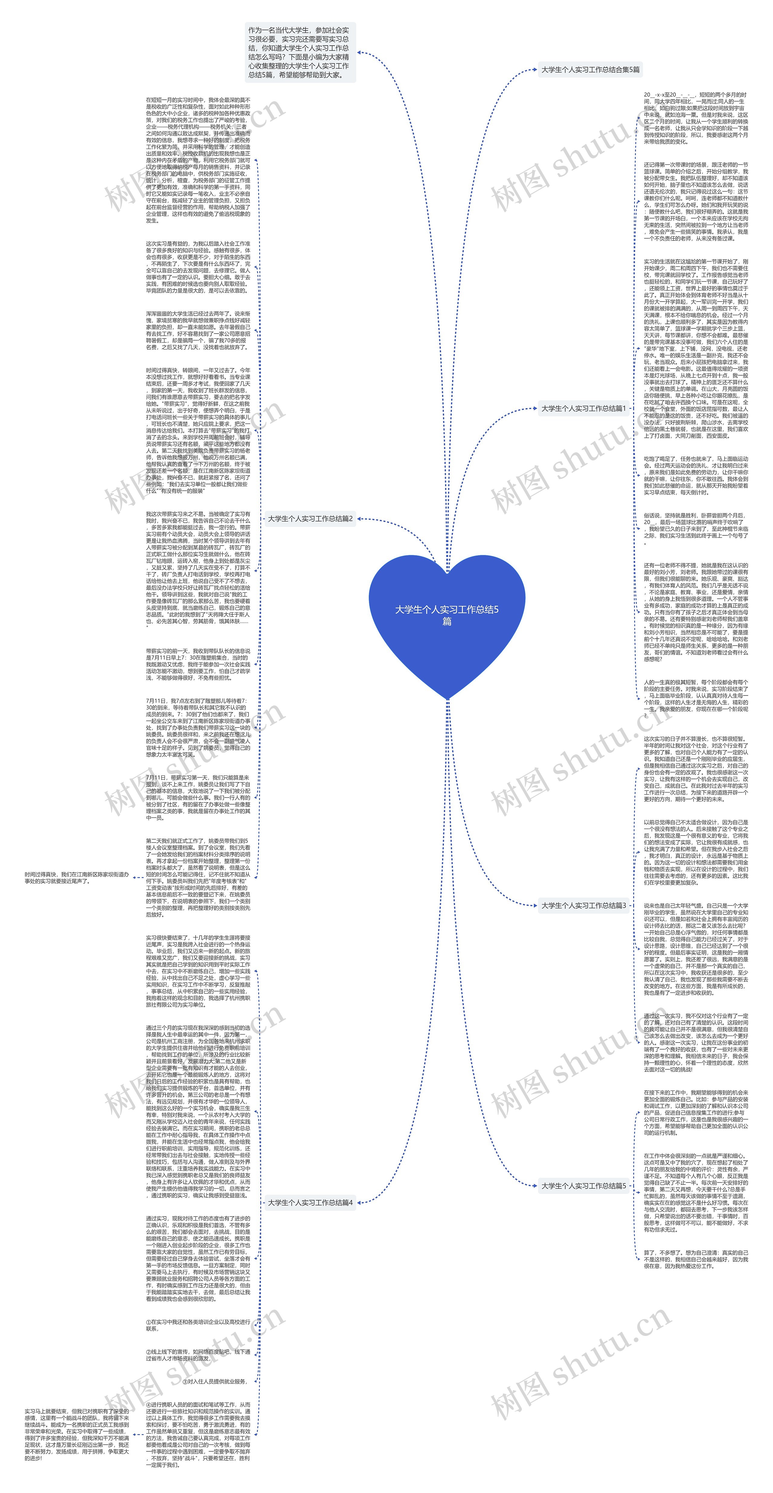 大学生个人实习工作总结5篇思维导图