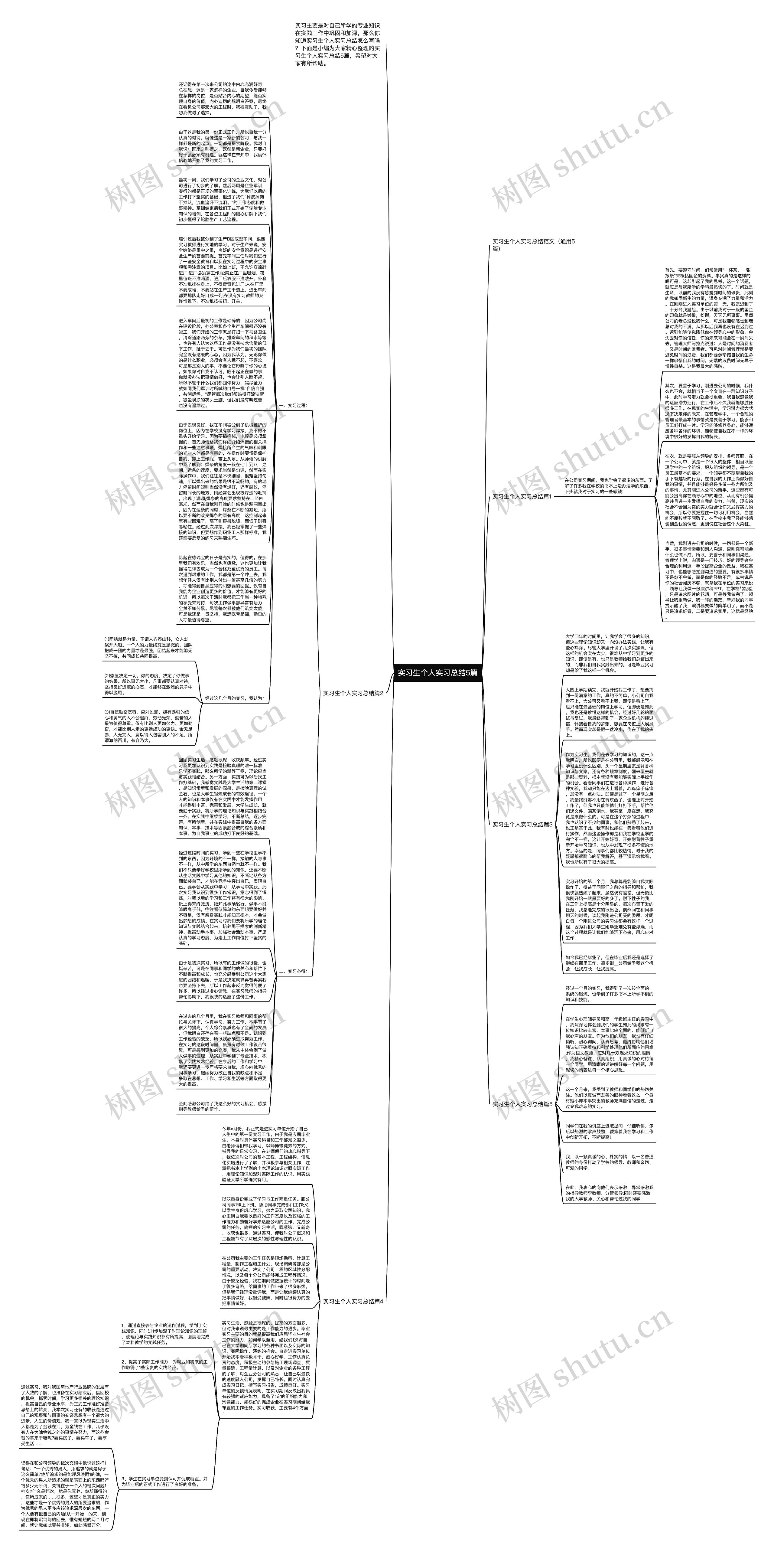 实习生个人实习总结5篇思维导图