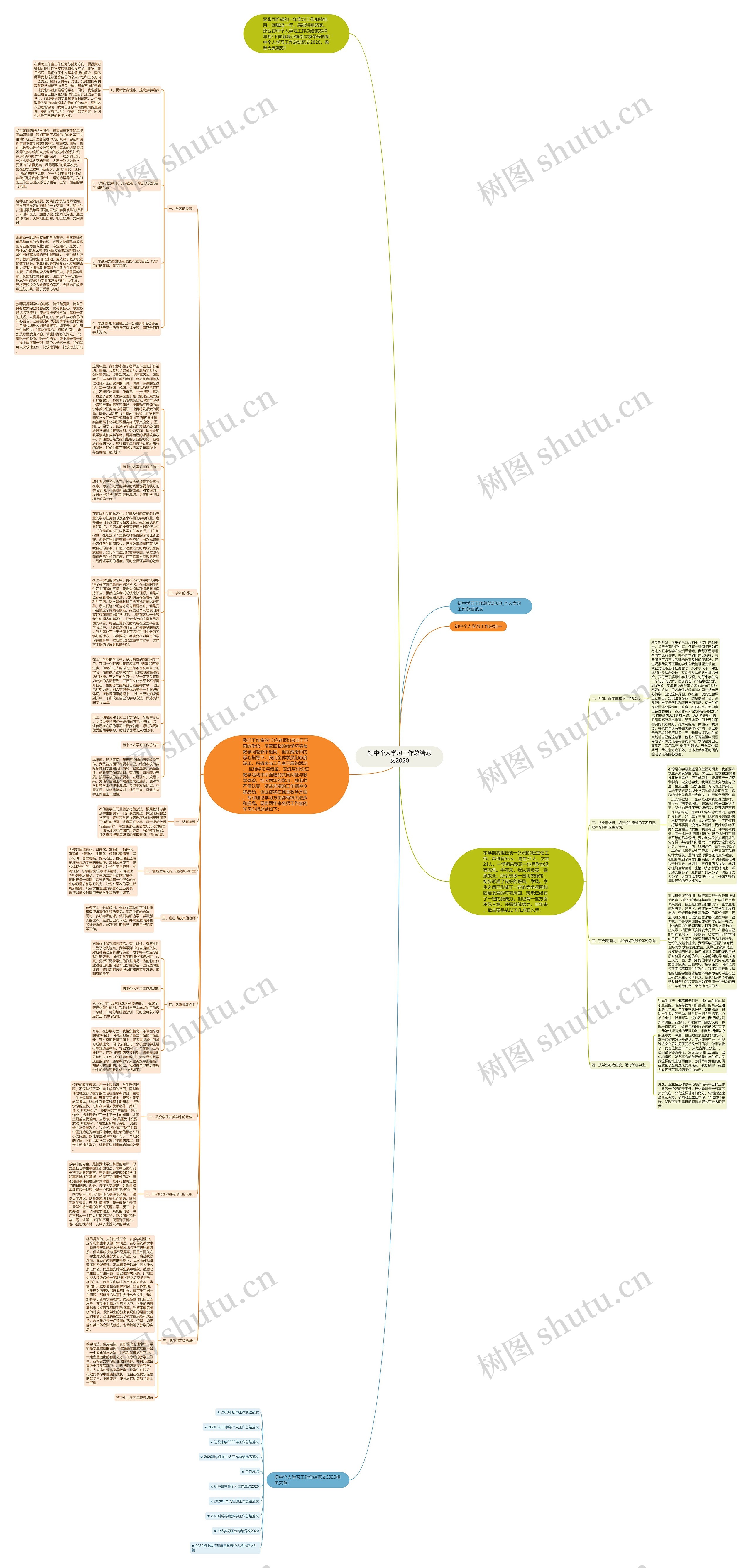 初中个人学习工作总结范文2020思维导图