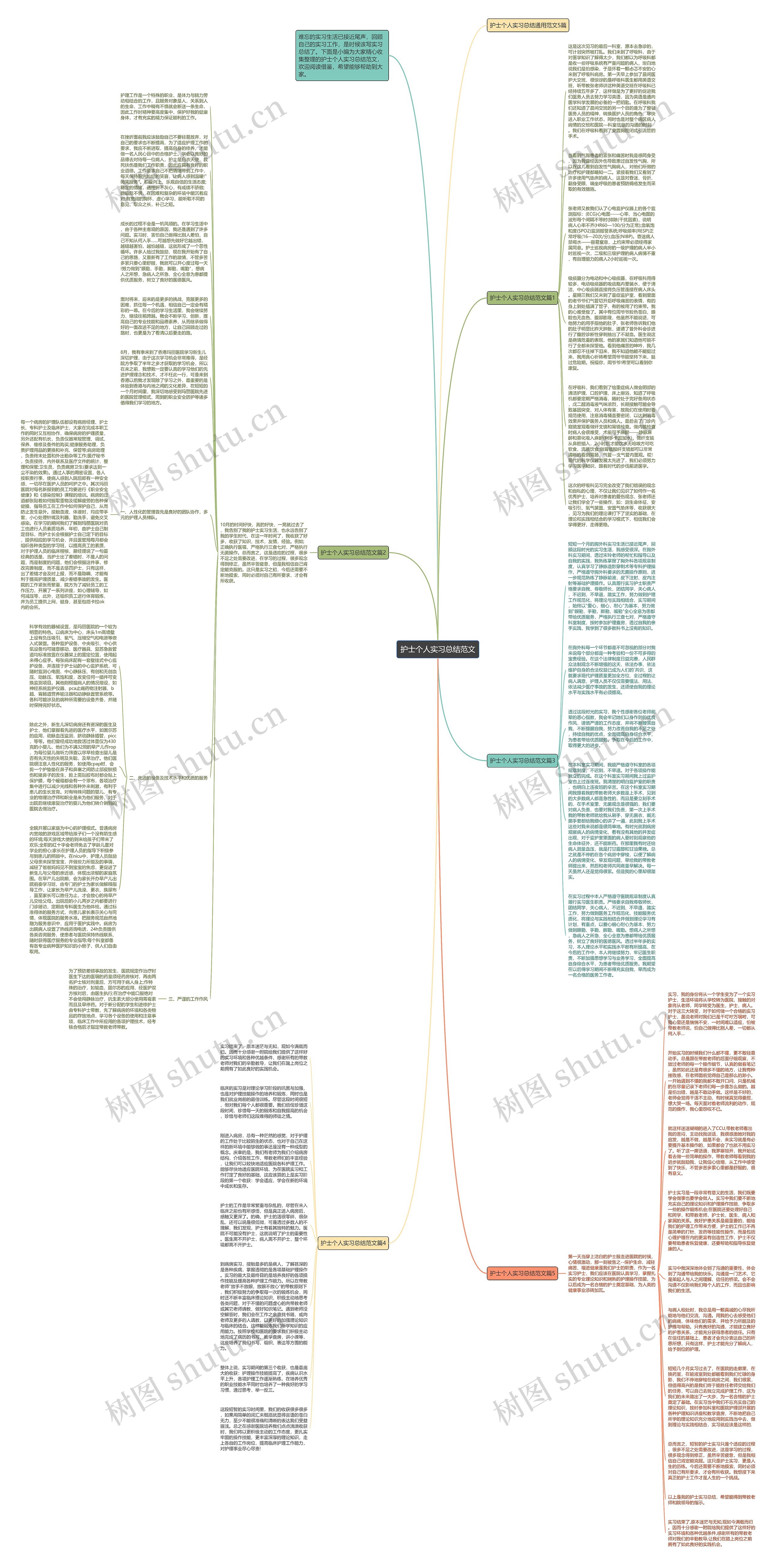 护士个人实习总结范文思维导图