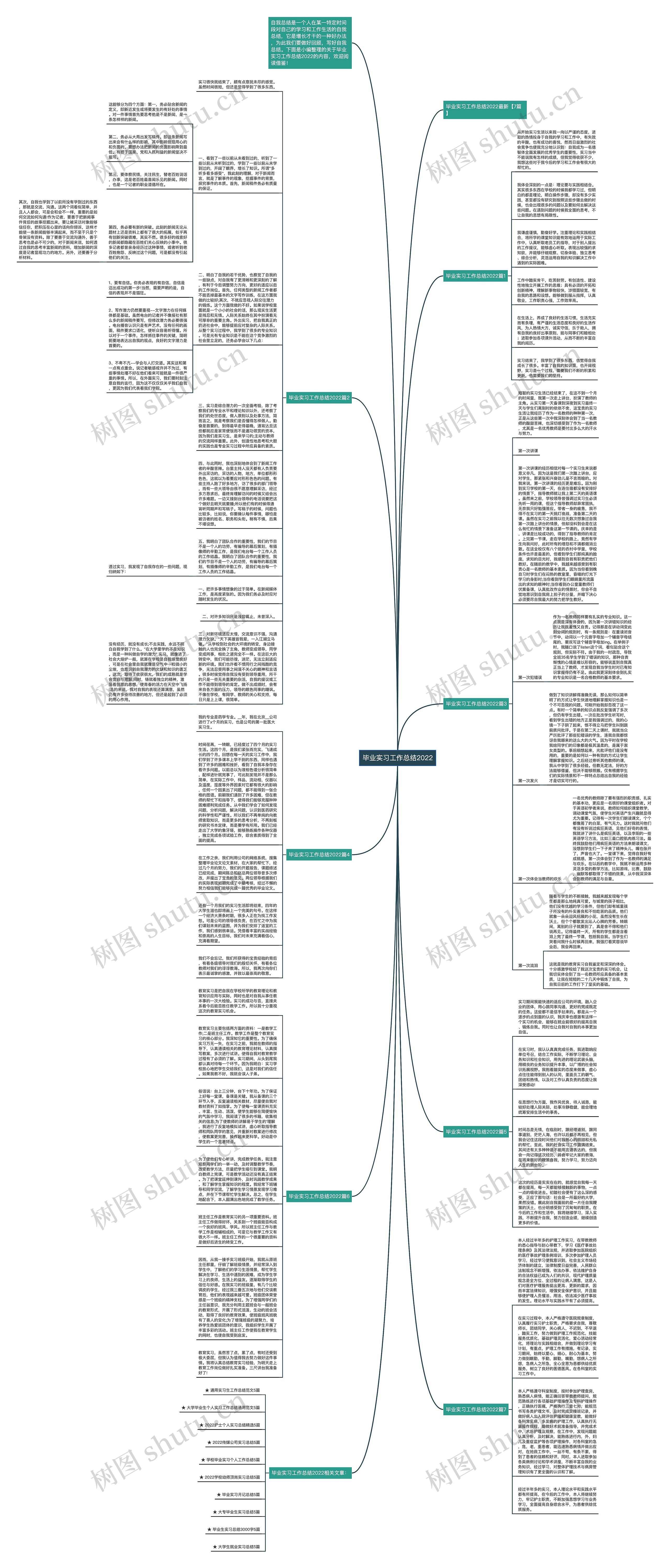 毕业实习工作总结2022思维导图