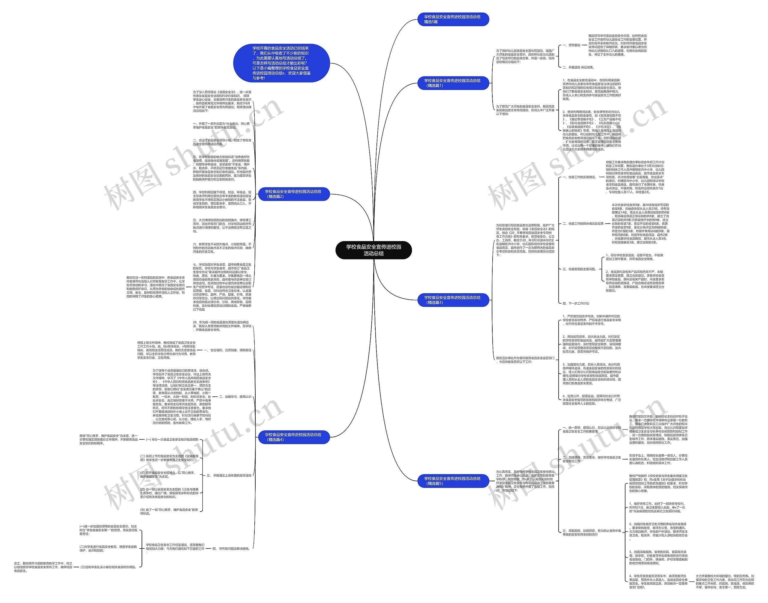 学校食品安全宣传进校园活动总结思维导图