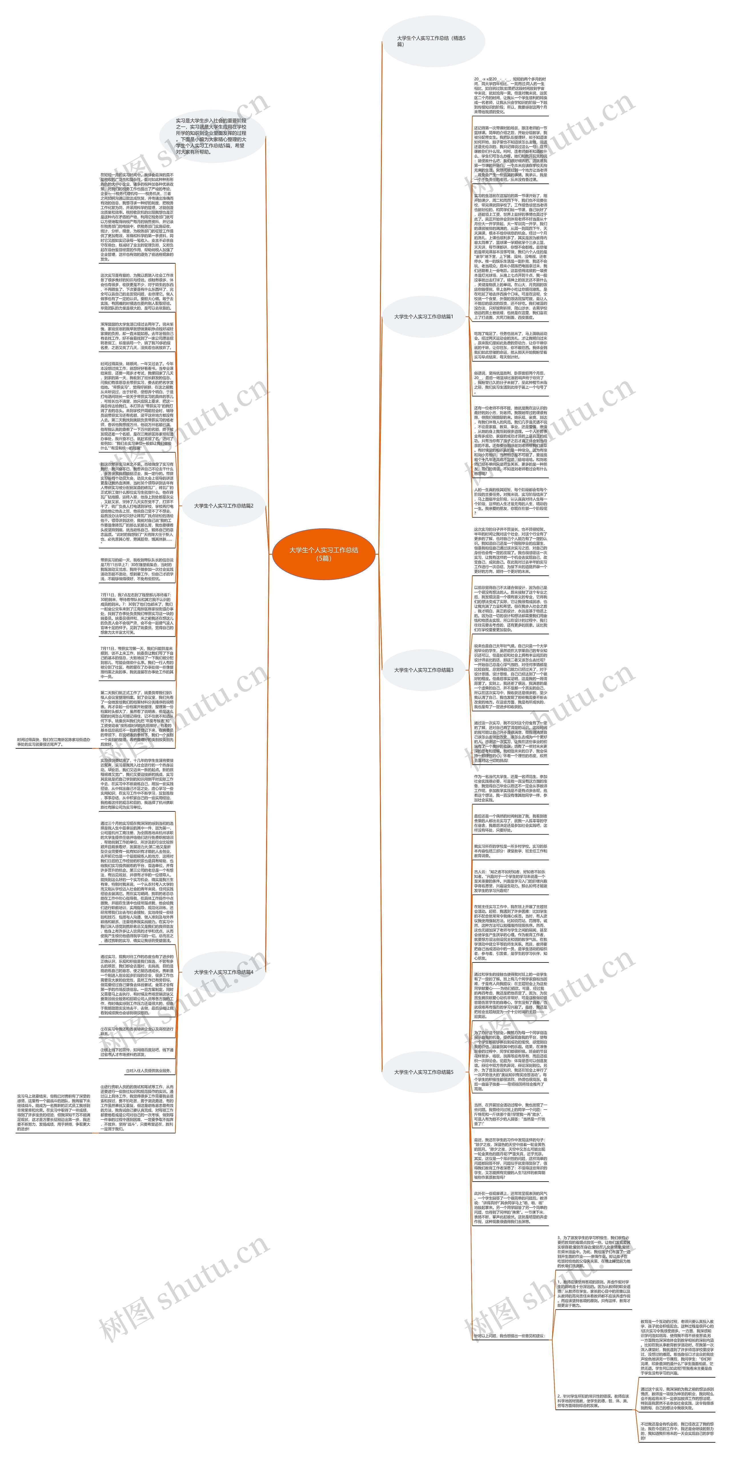 大学生个人实习工作总结（5篇）思维导图