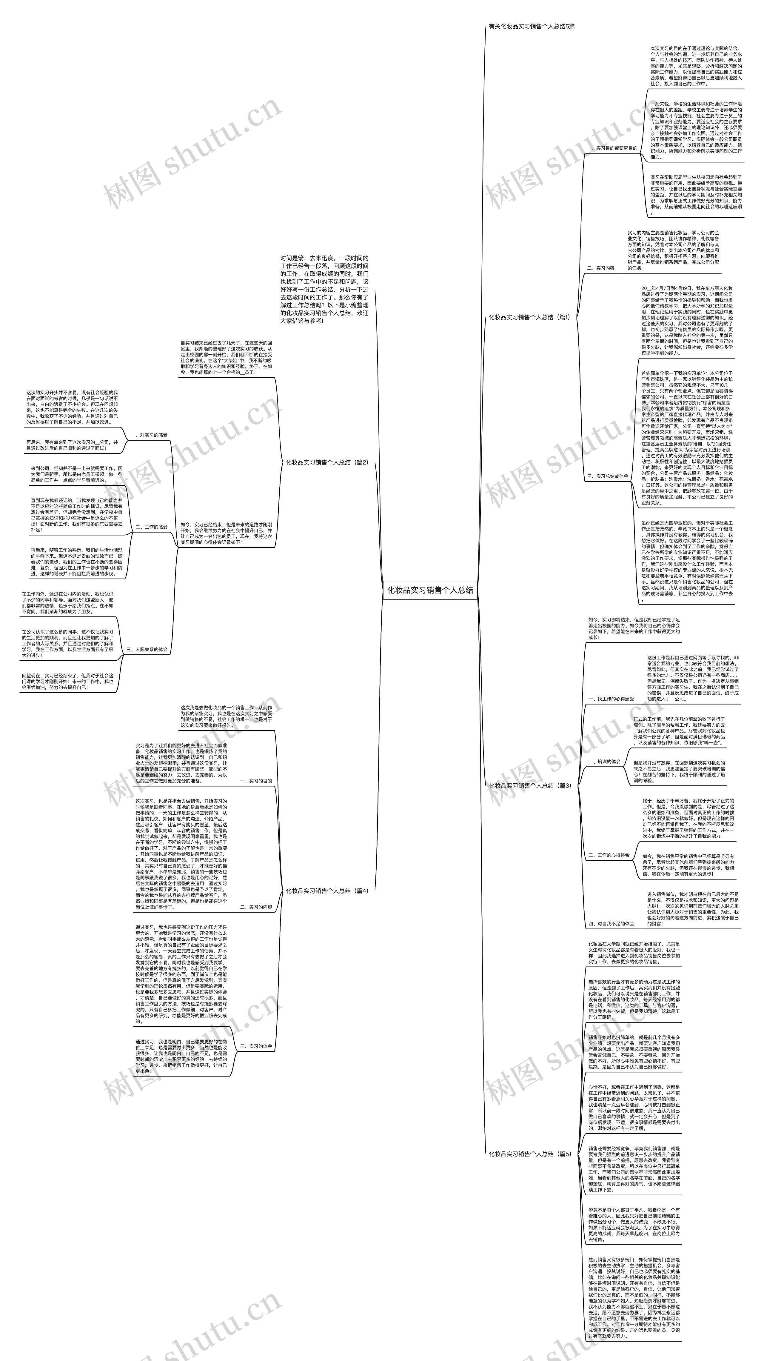 化妆品实习销售个人总结思维导图