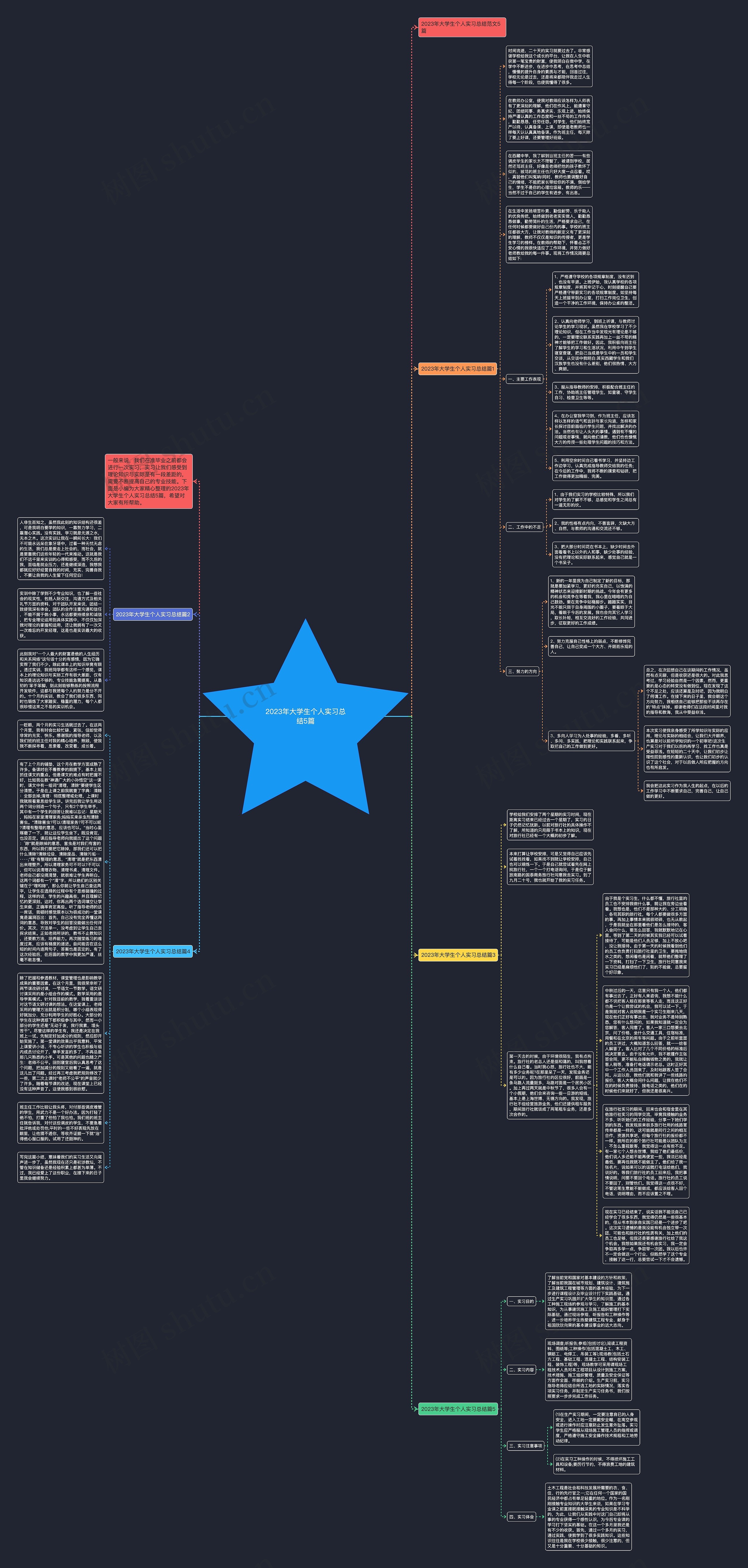 2023年大学生个人实习总结5篇思维导图