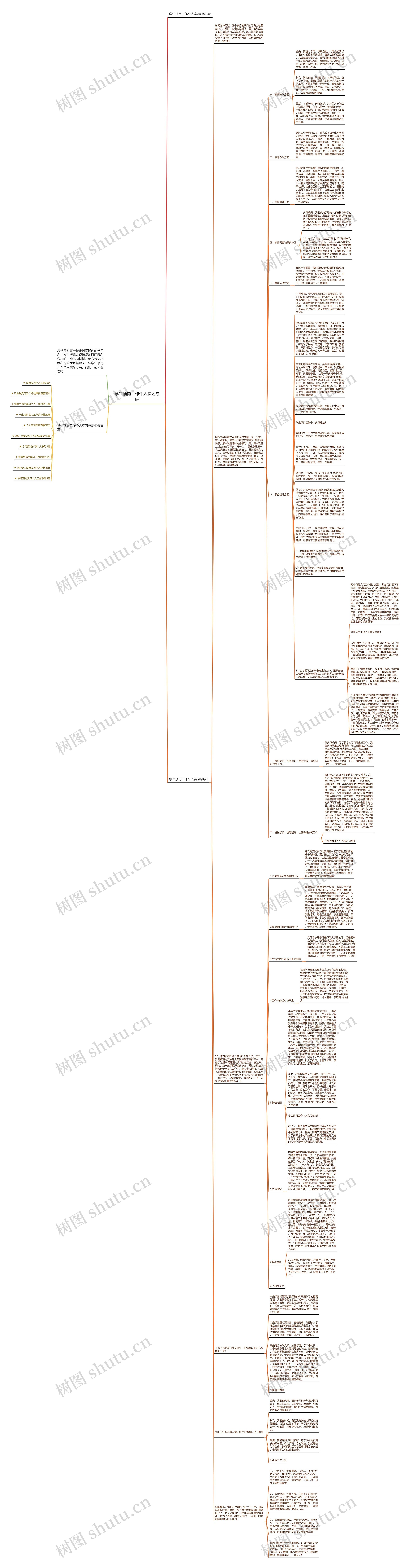 学生顶岗工作个人实习总结思维导图
