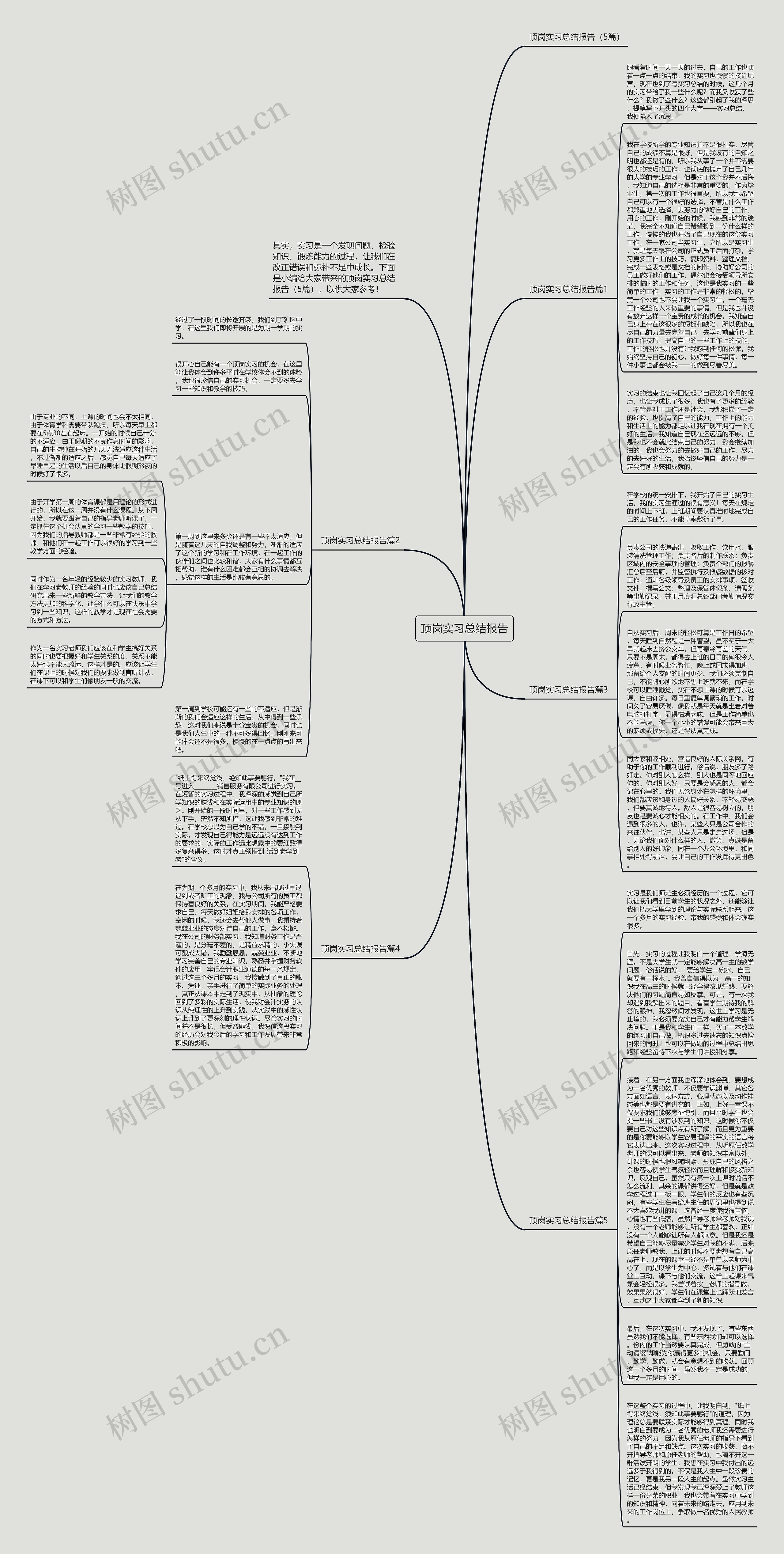 顶岗实习总结报告思维导图