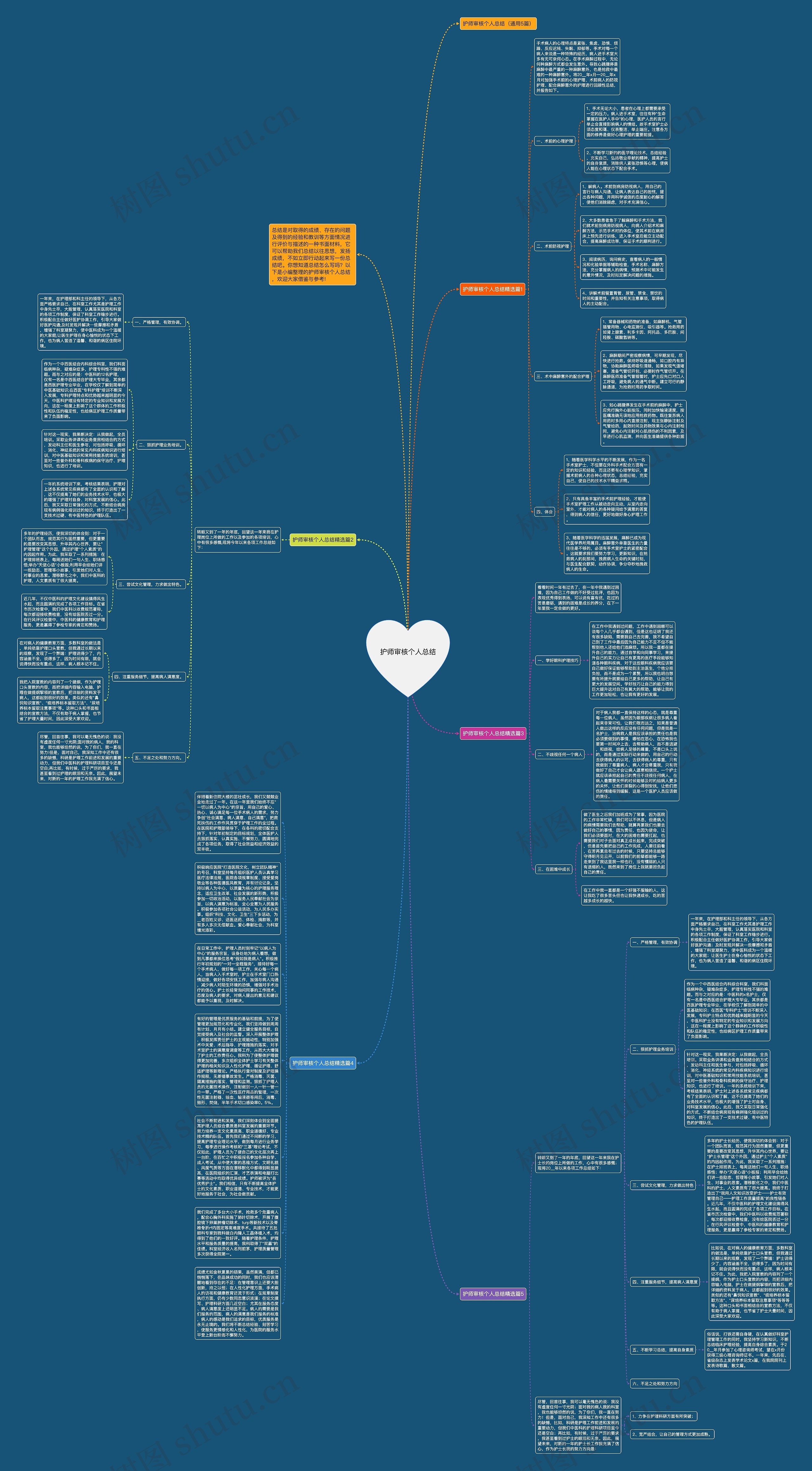护师审核个人总结思维导图