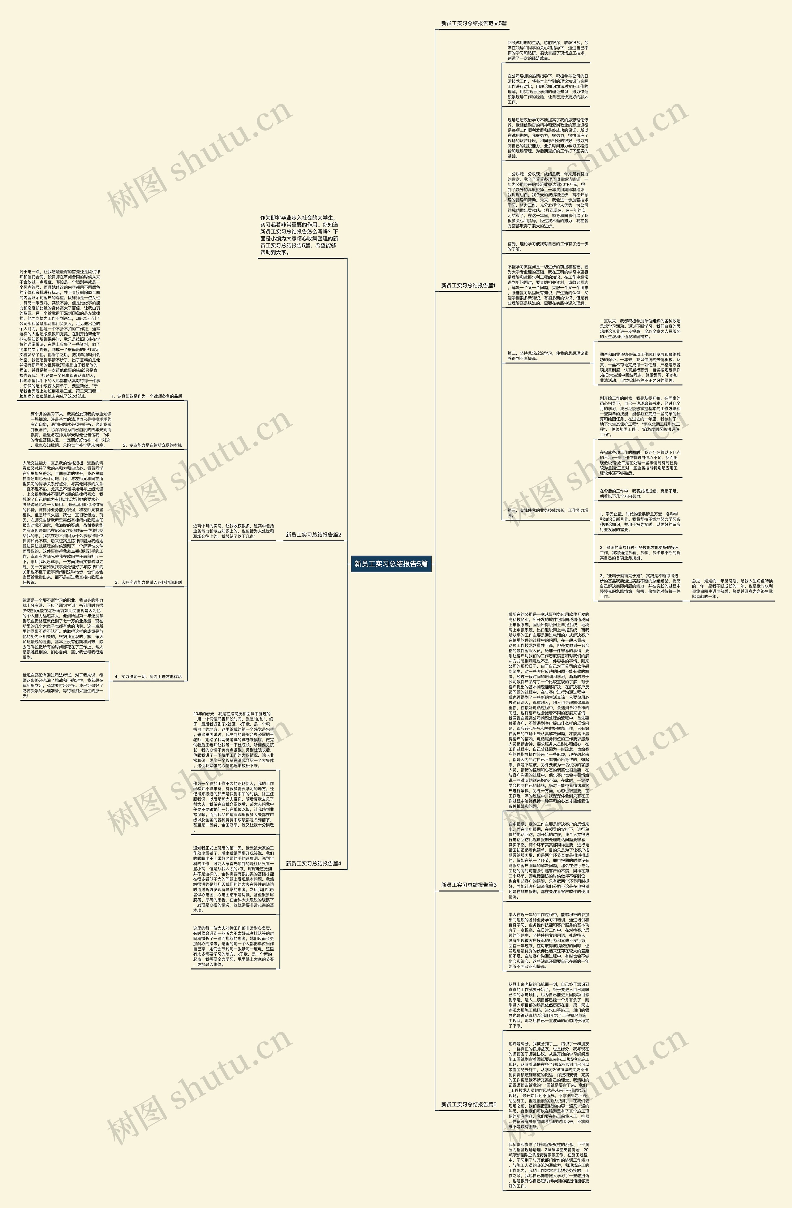 新员工实习总结报告5篇思维导图