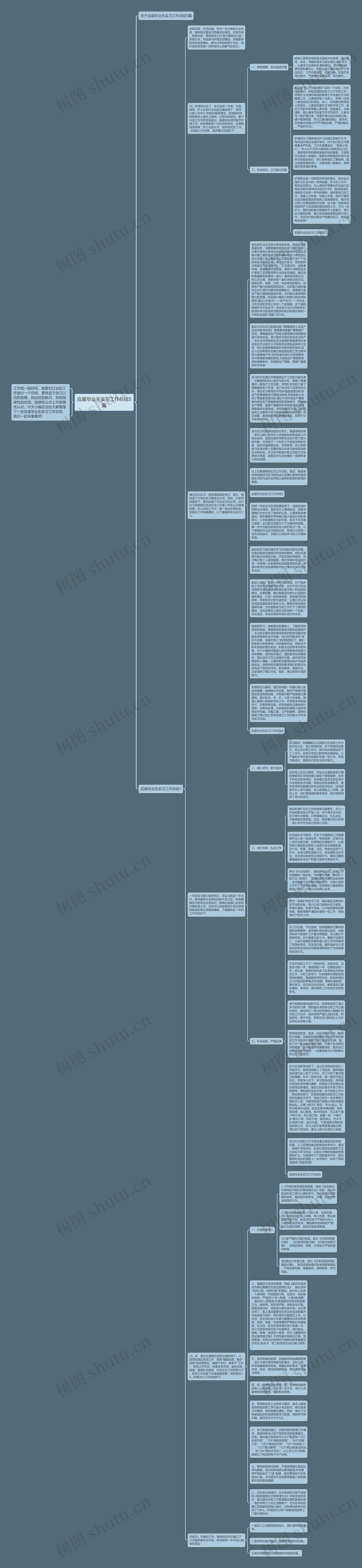 应届毕业生实习工作总结5篇思维导图