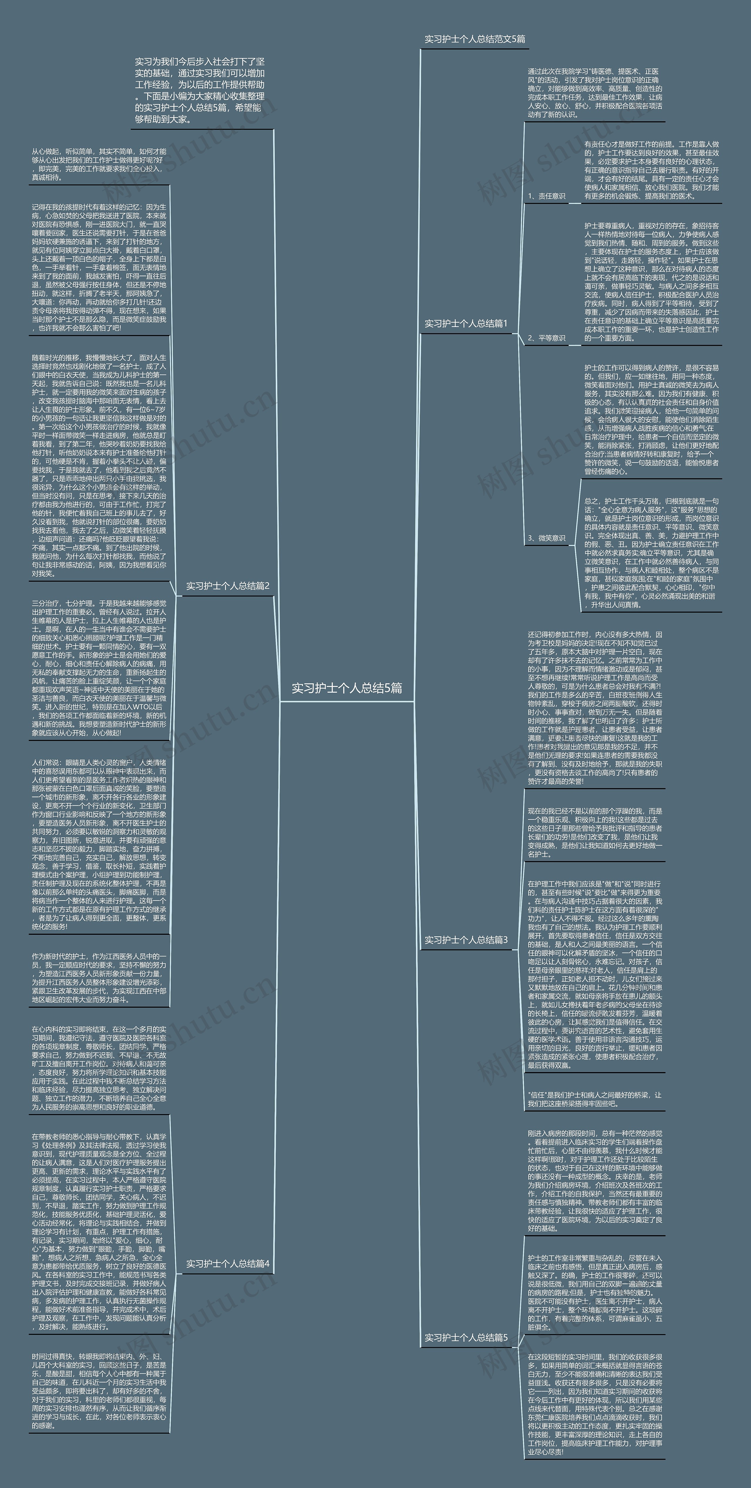 实习护士个人总结5篇思维导图