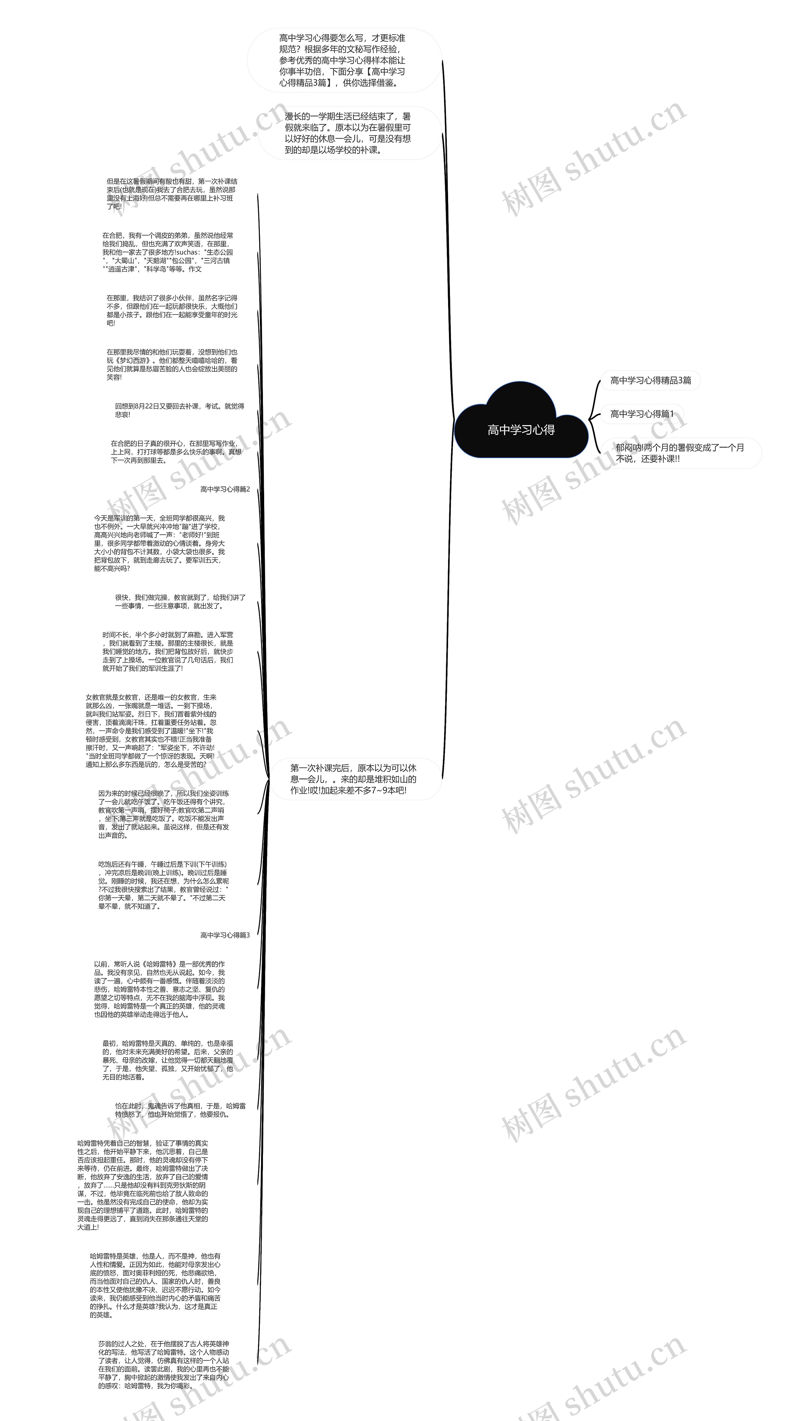 高中学习心得思维导图