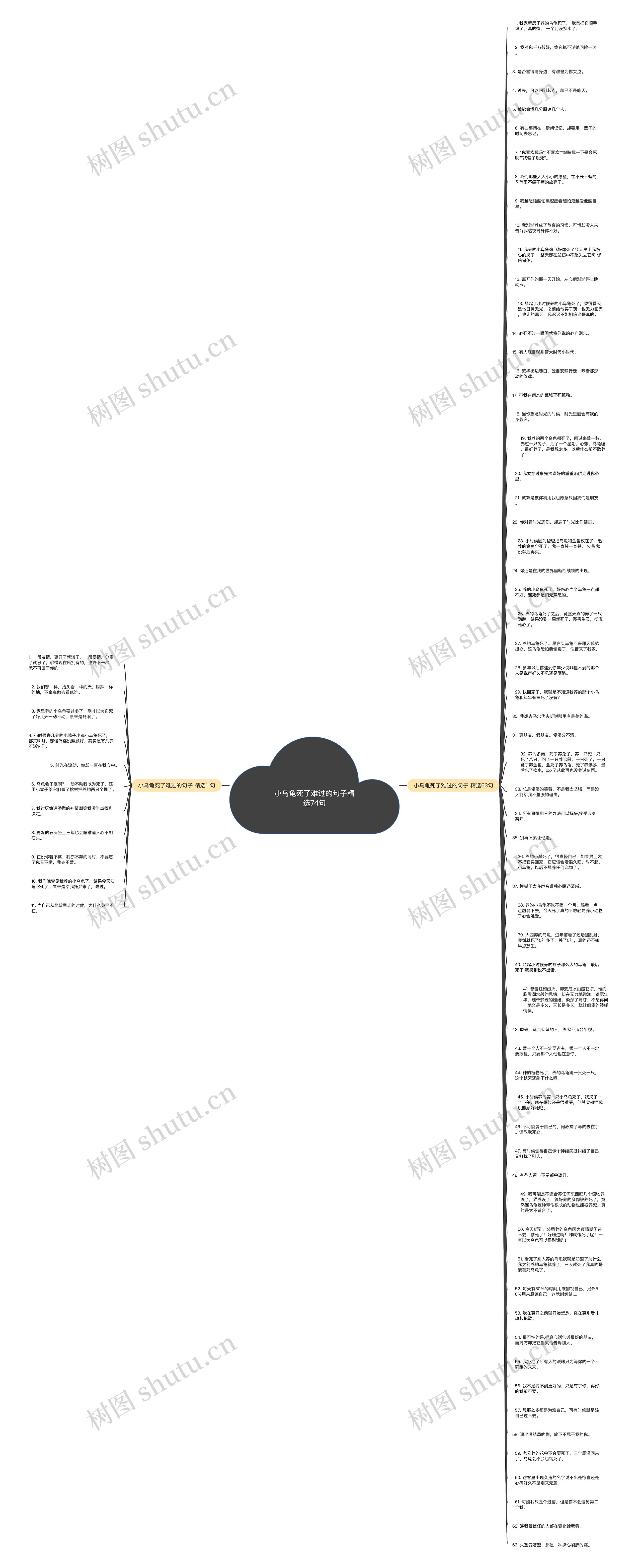 小乌龟死了难过的句子精选74句思维导图
