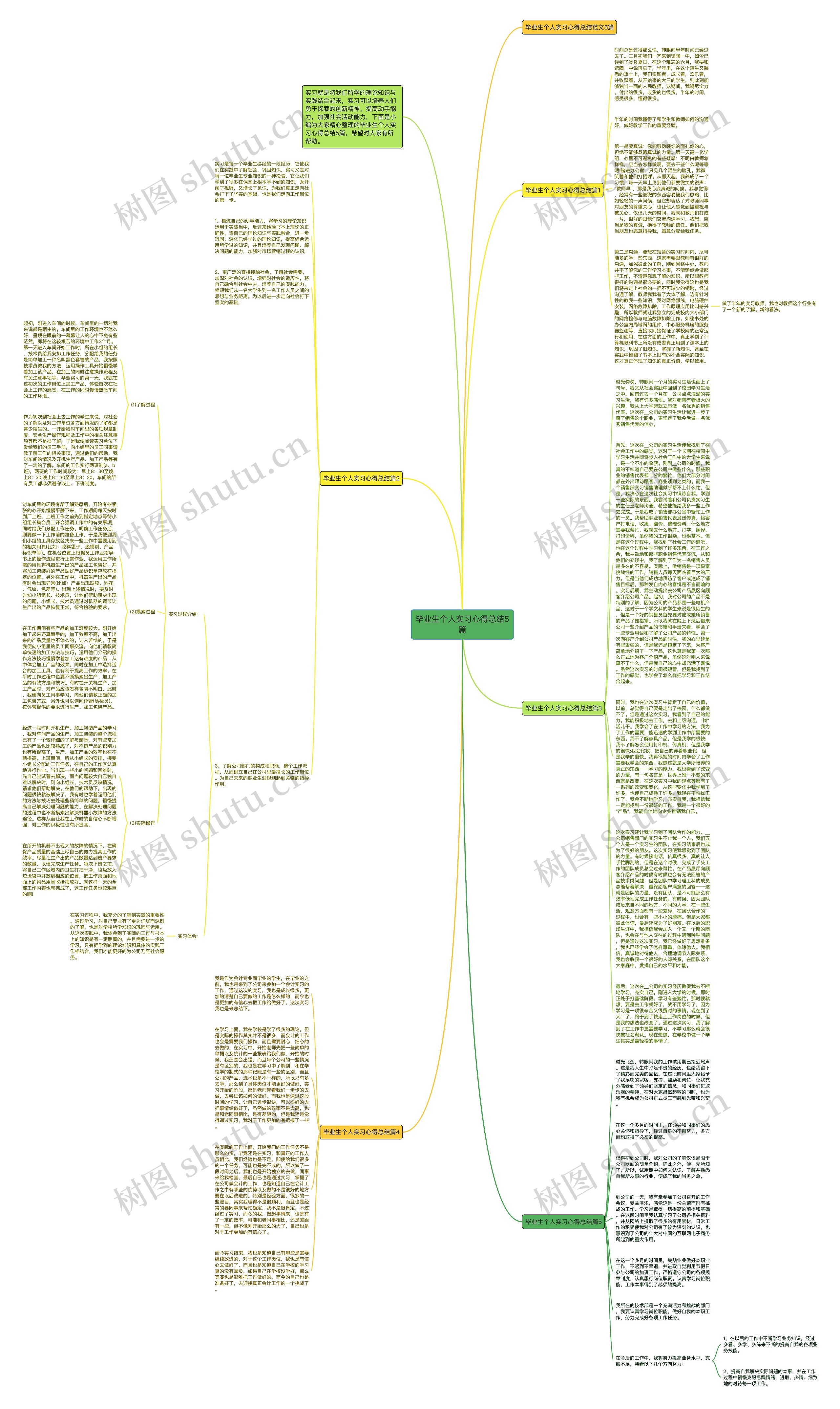 毕业生个人实习心得总结5篇思维导图