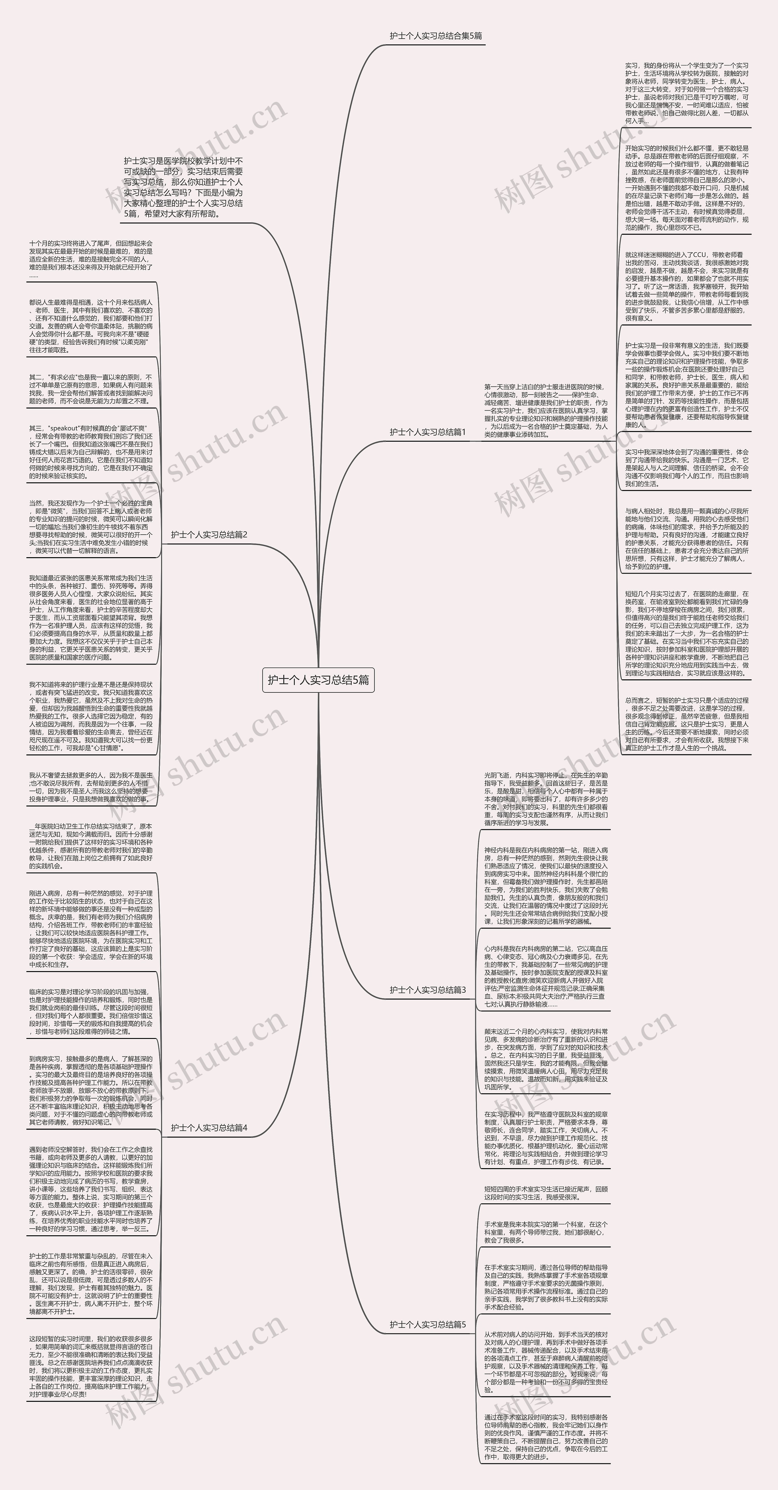 护士个人实习总结5篇思维导图